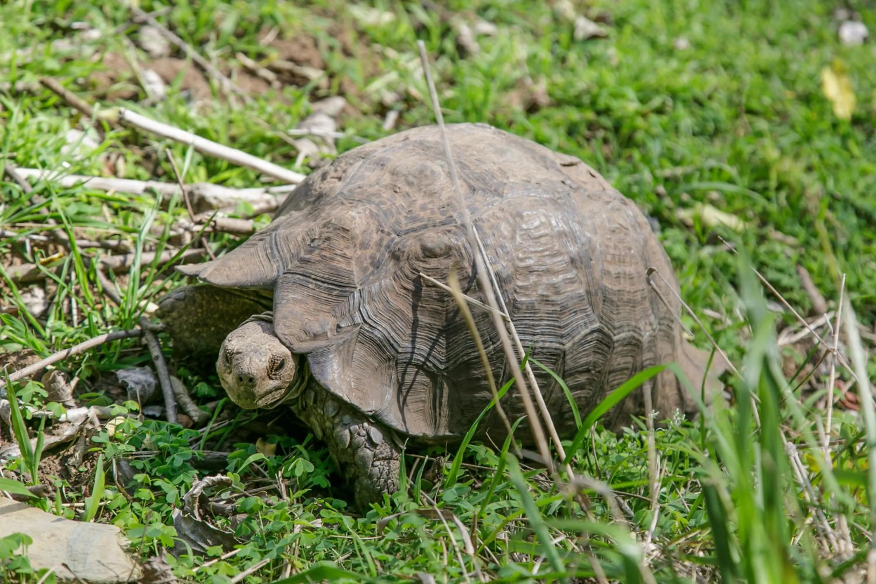 Animals in Wildehondekloof Game Lodge