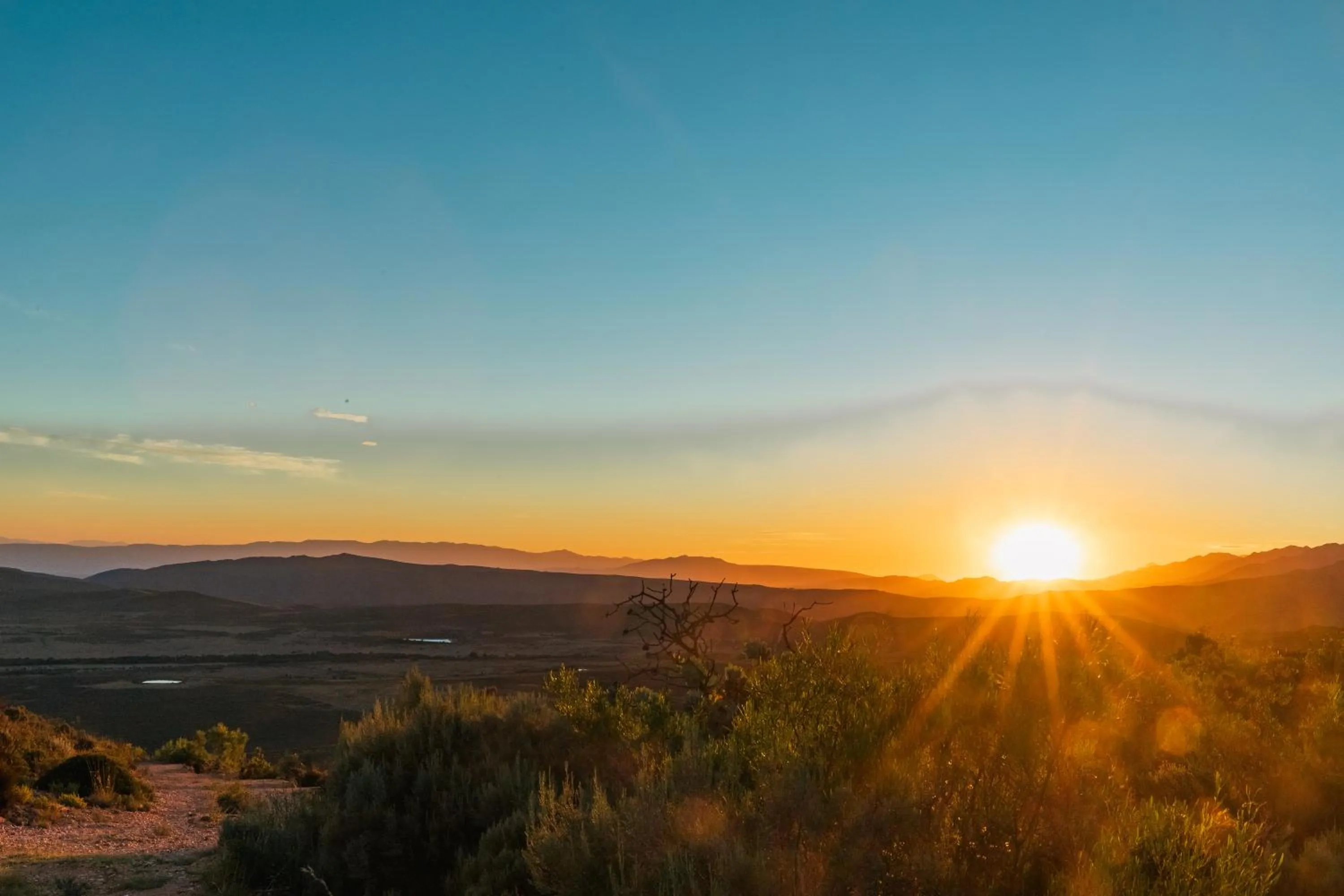 View (from property/room) in Wildehondekloof Game Lodge