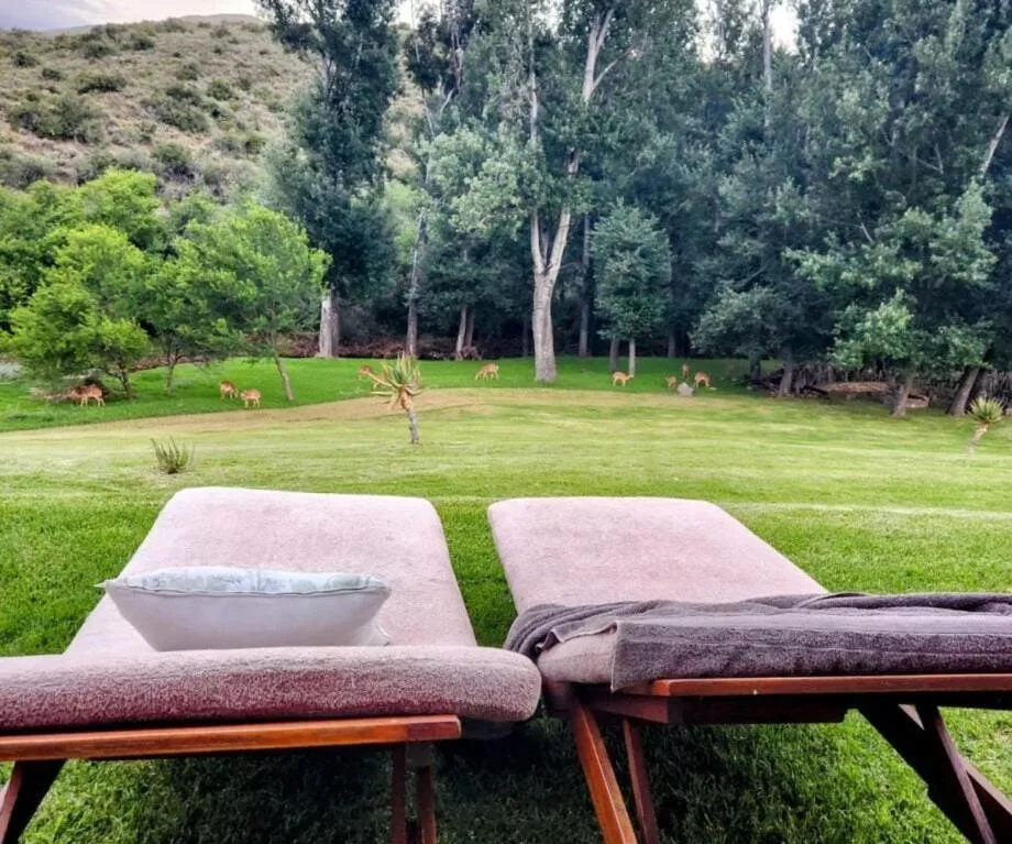 View (from property/room) in Wildehondekloof Game Lodge