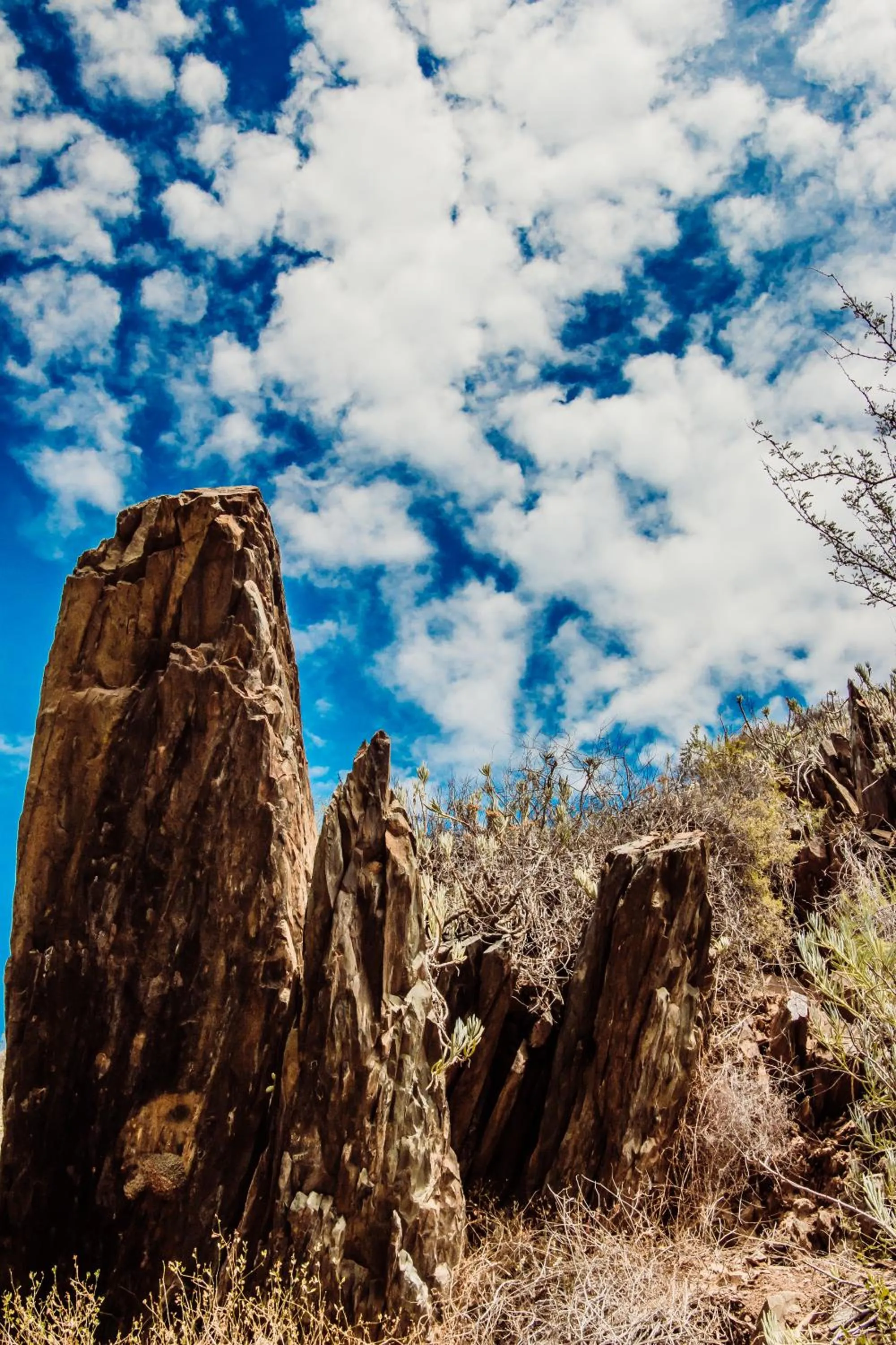 Natural landscape in Wildehondekloof Game Lodge