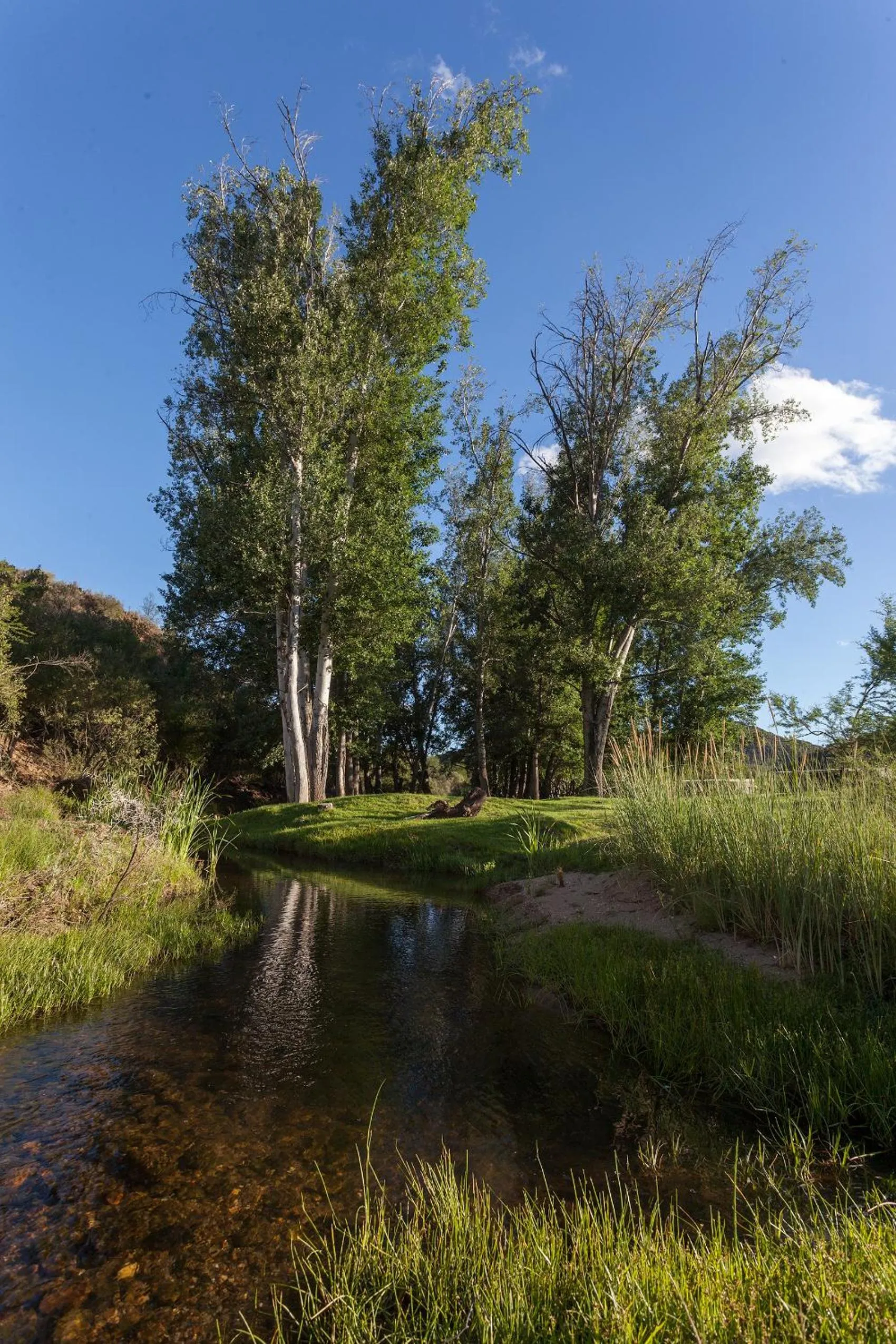 Natural landscape in Wildehondekloof Game Lodge