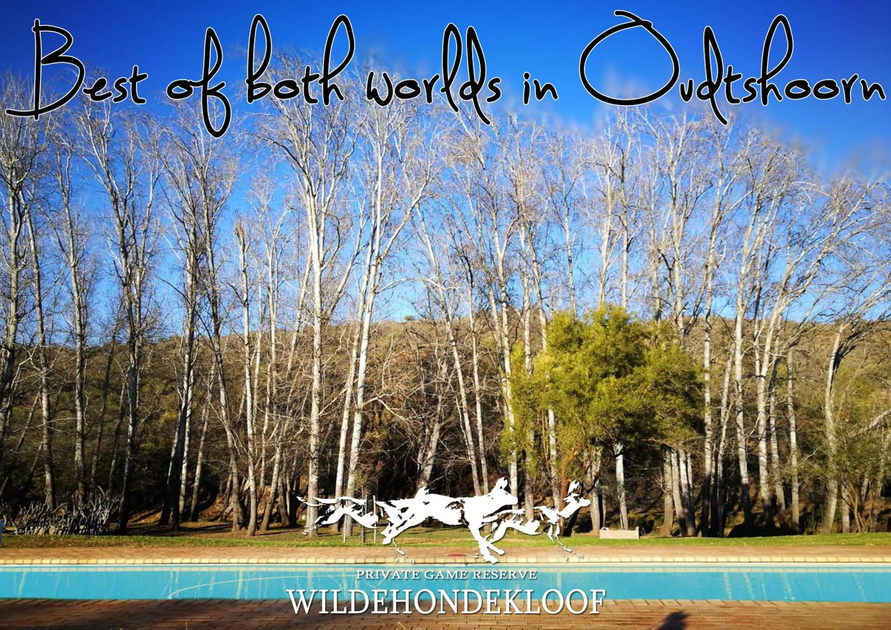 Pool view in Wildehondekloof Game Lodge