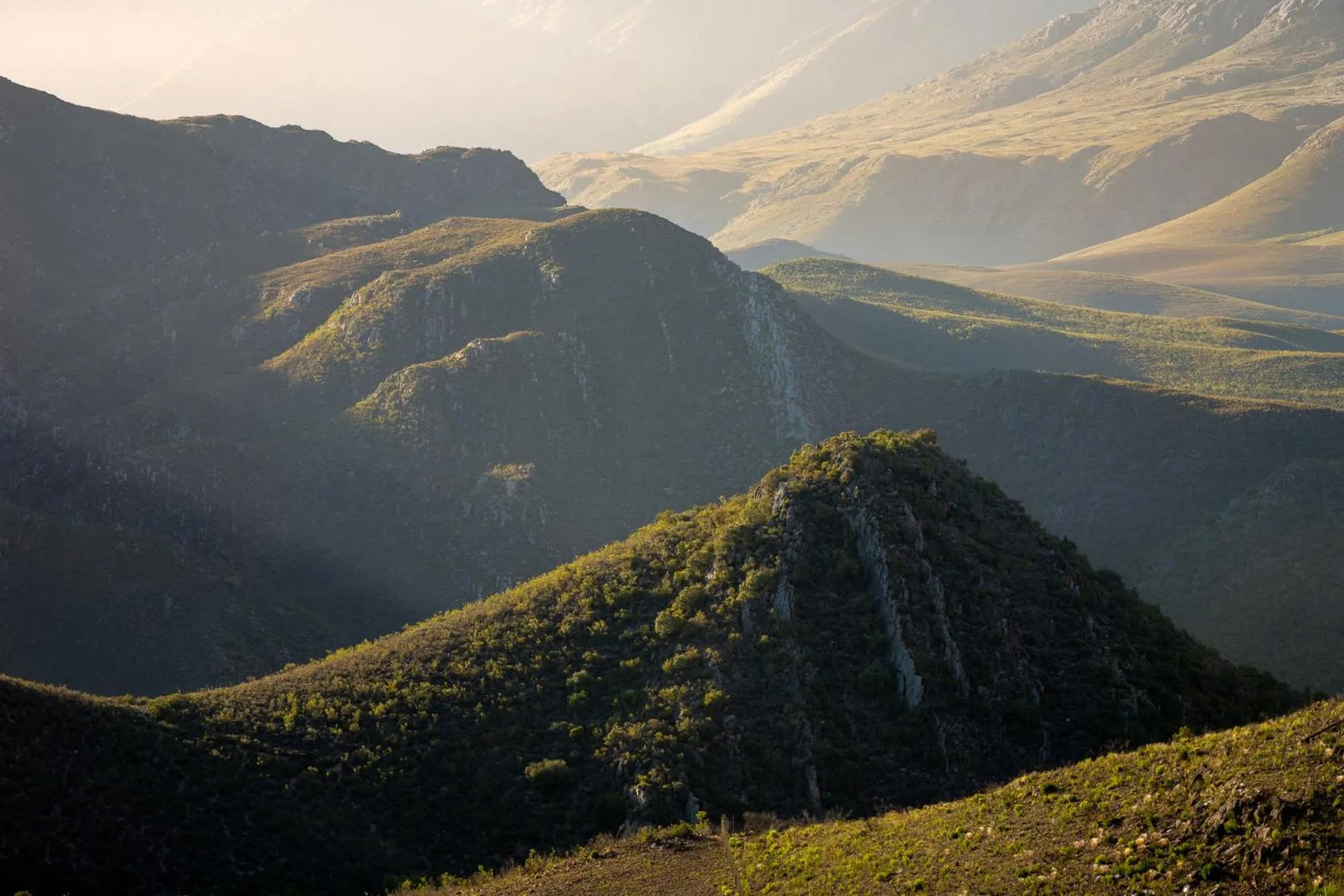View (from property/room) in Wildehondekloof Game Lodge