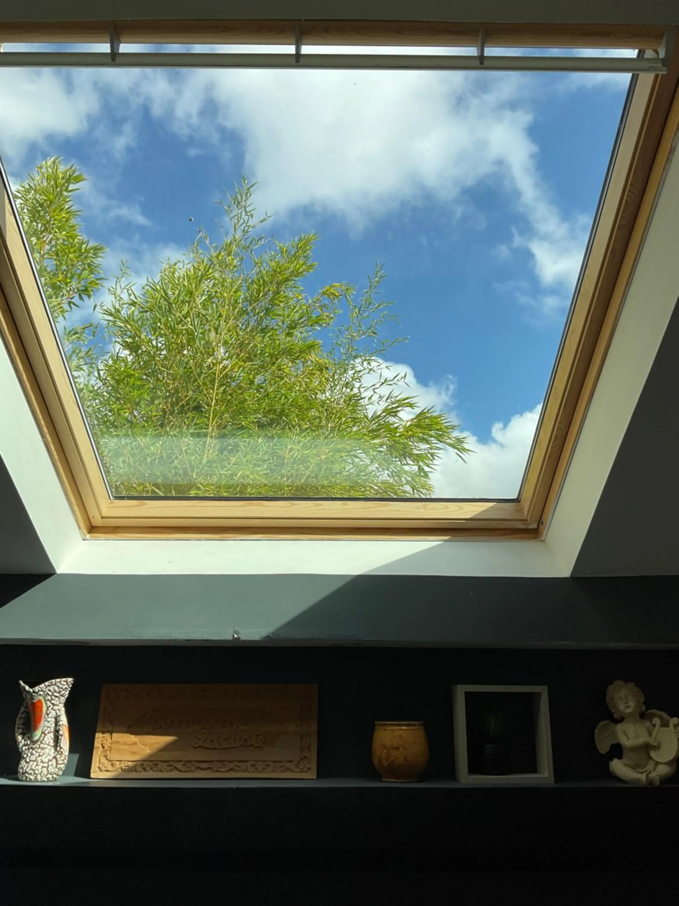 Bird's eye view in Le Jardin de LaCoste