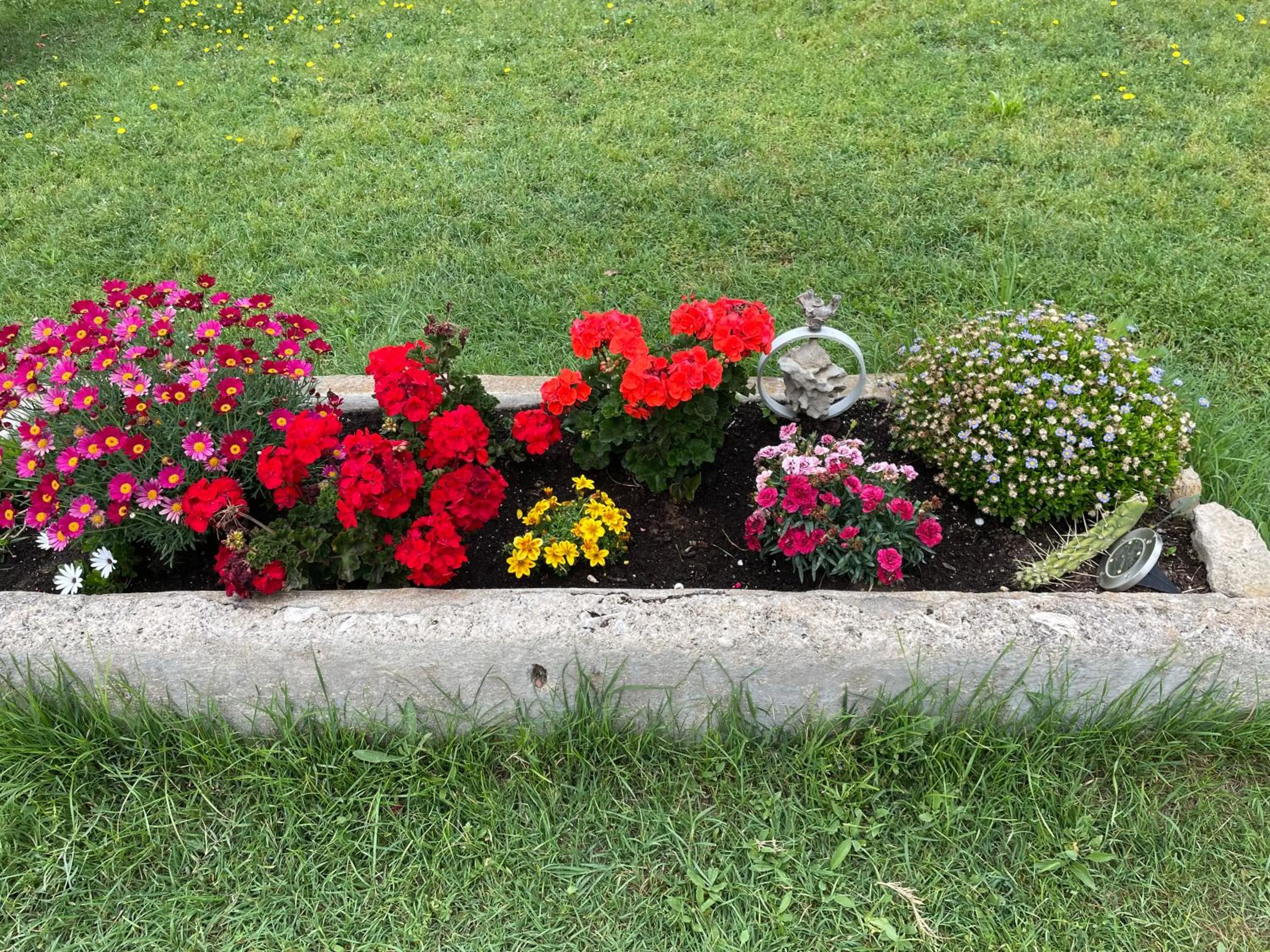 Garden in Le Jardin de LaCoste