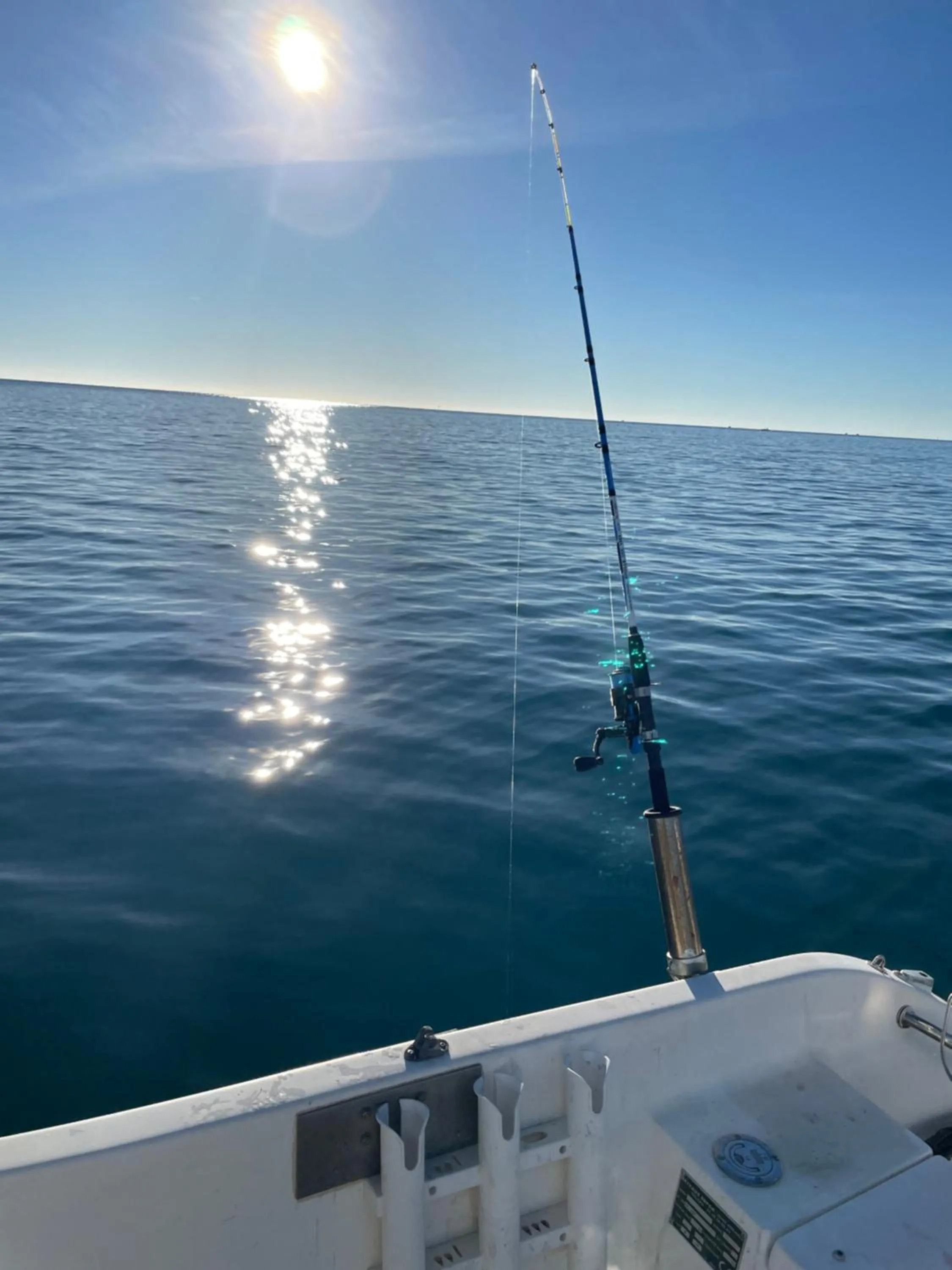 Natural landscape in Le Jardin de LaCoste