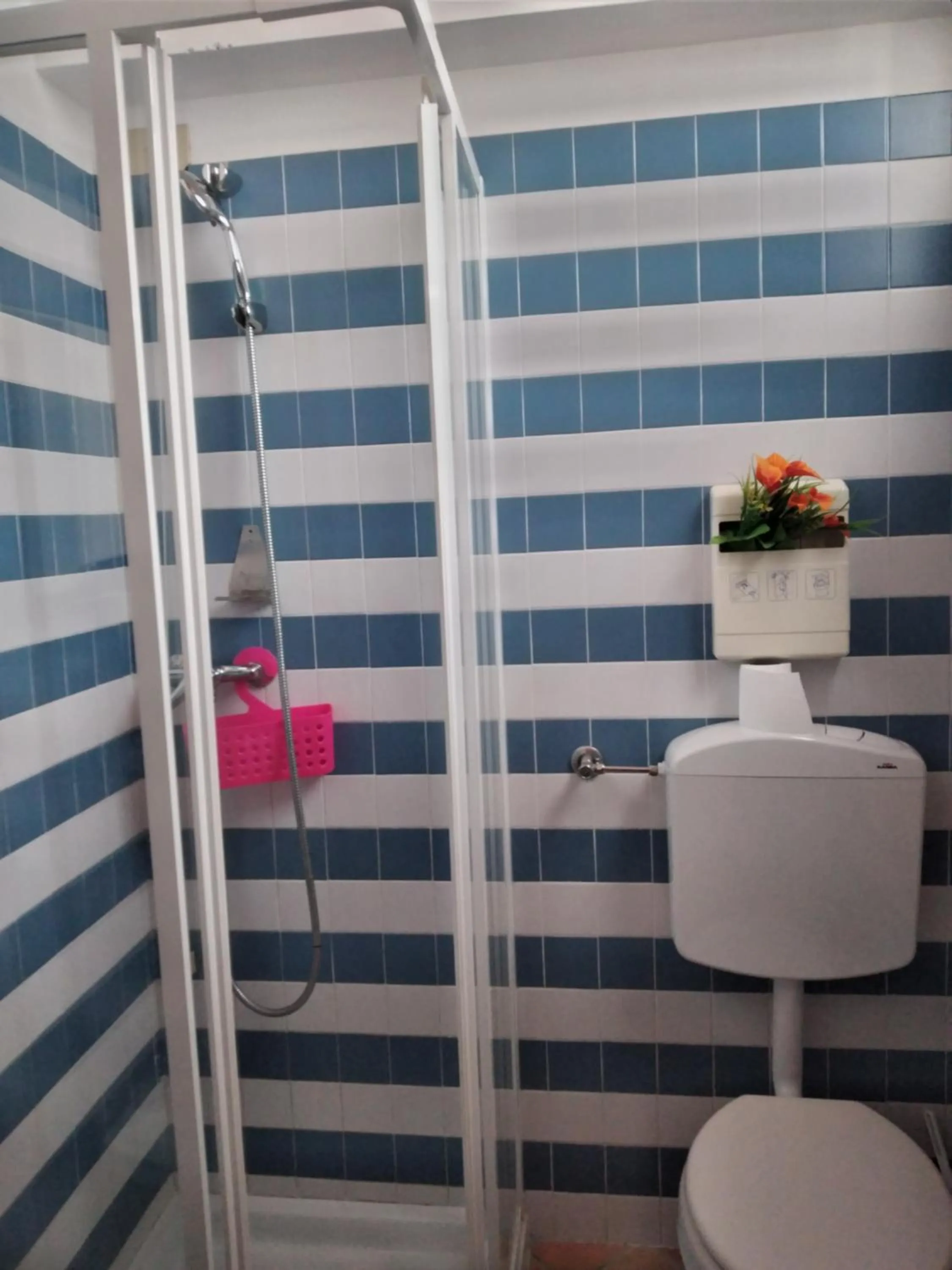 Single Bed in Female Dormitory Room in Ostello Europa