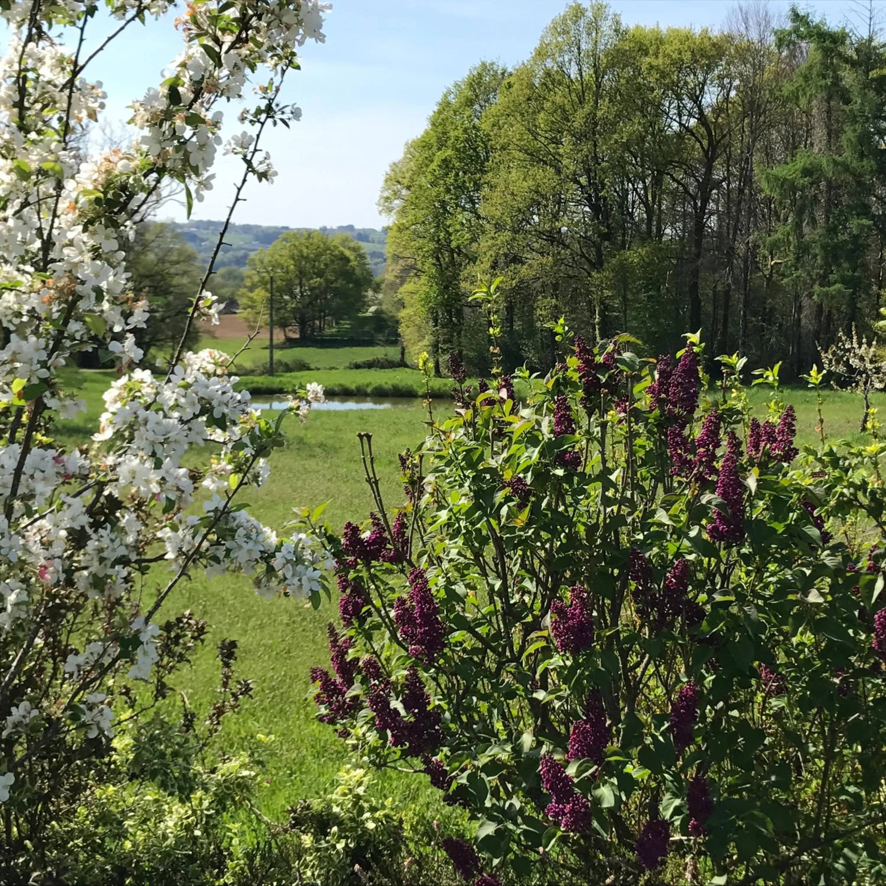 Spring in Escale en Correze