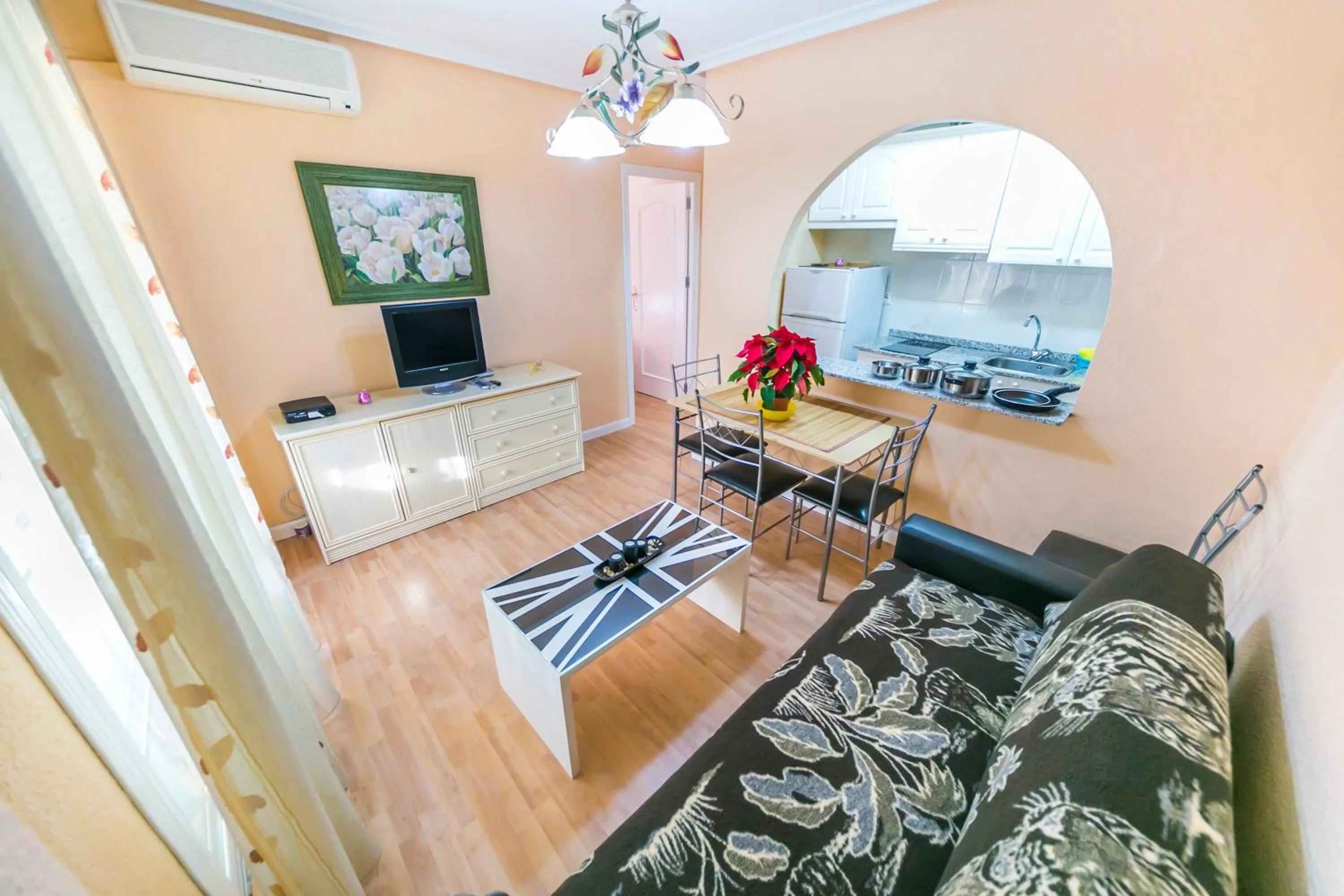 TV and multimedia in Homely Apartments Calle Apolo
