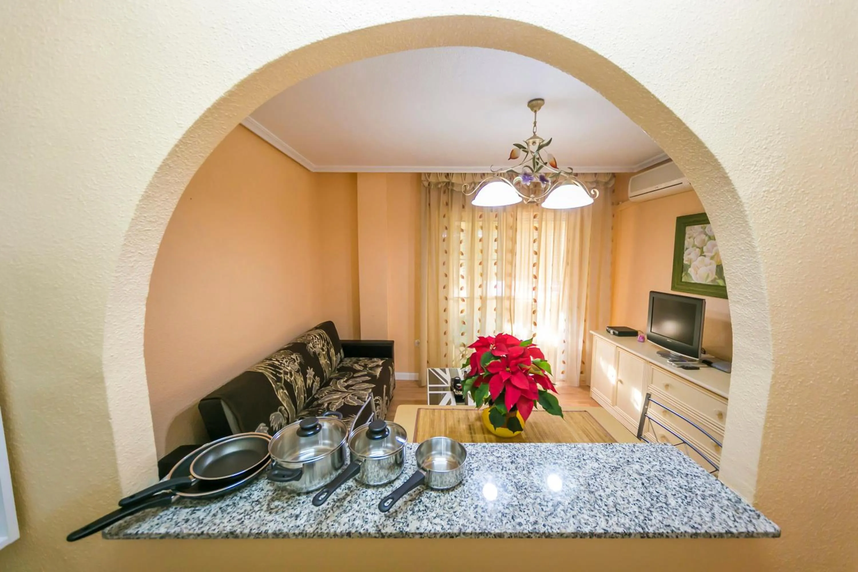 Living room in Homely Apartments Calle Apolo