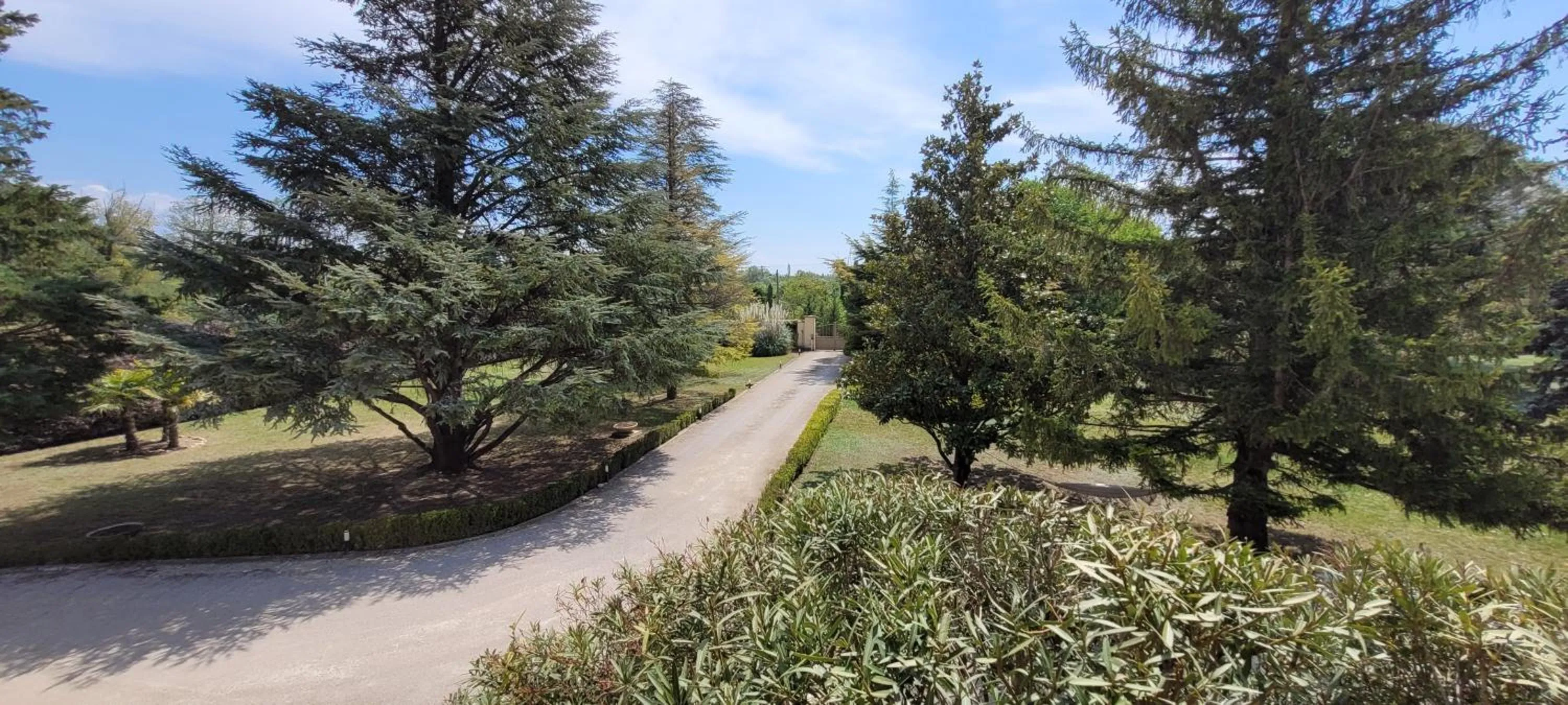 Garden in Villa Liberty