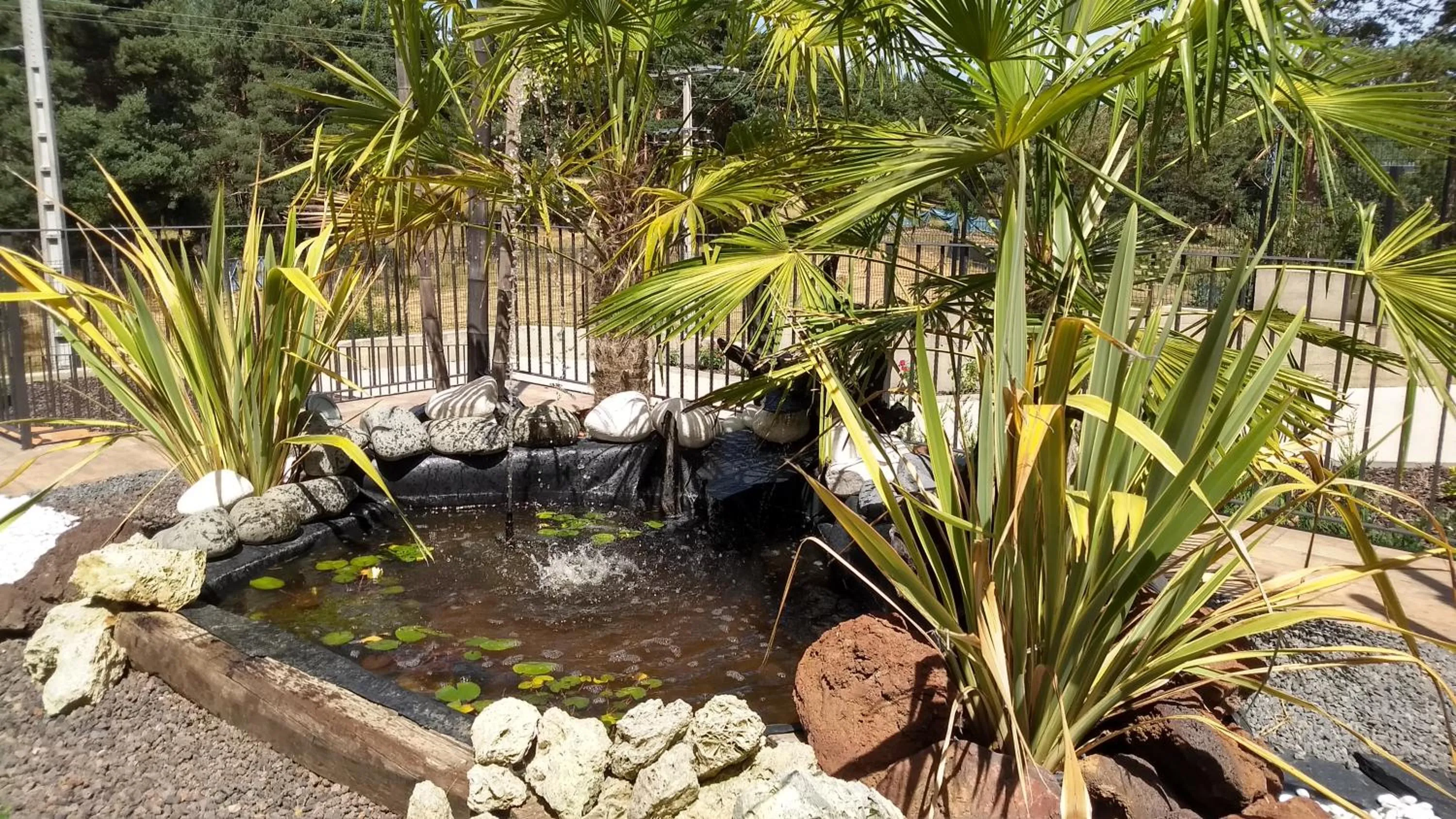 Garden in Hotel Rural El Nido de Pinares