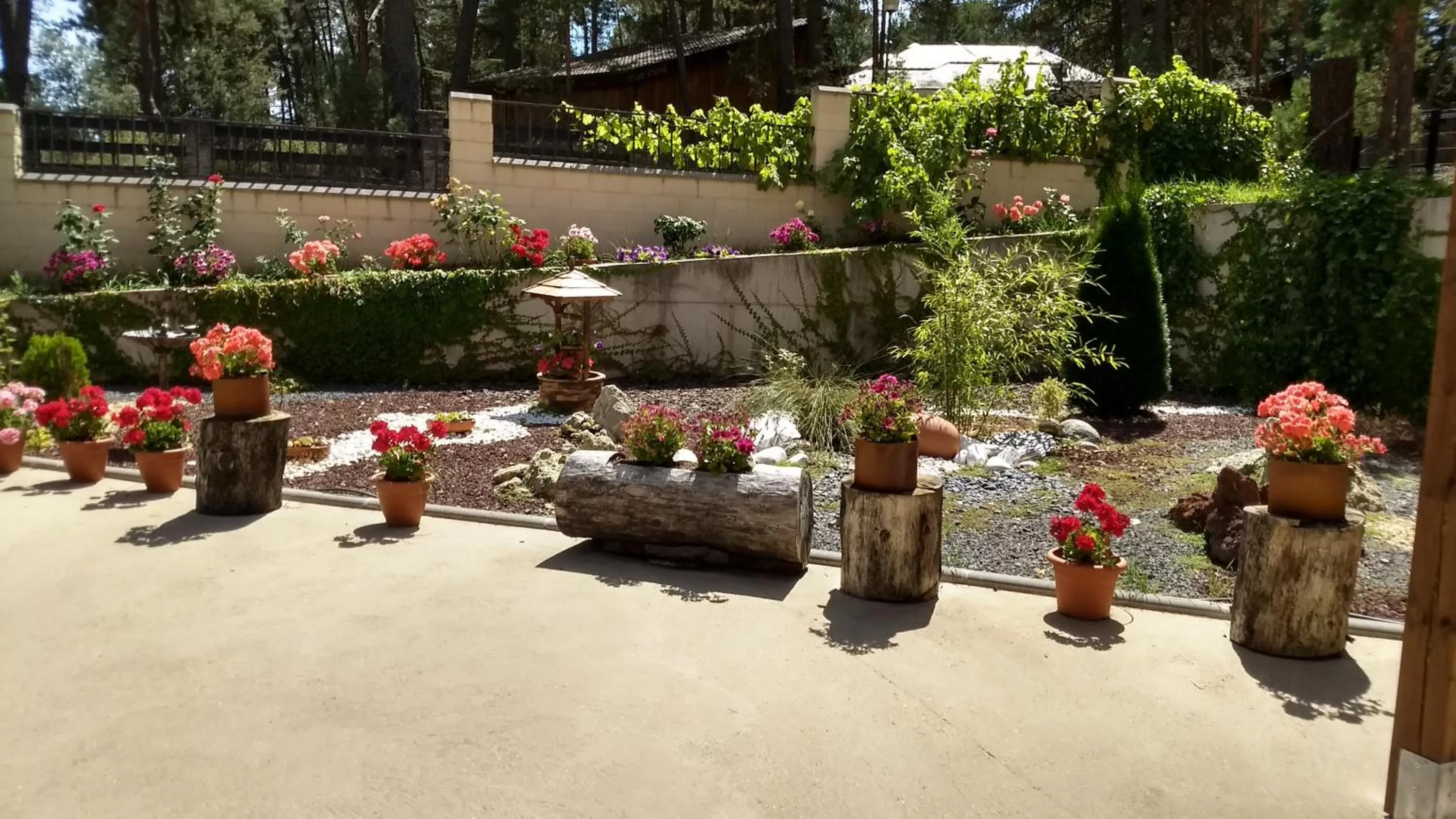 Garden in Hotel Rural El Nido de Pinares