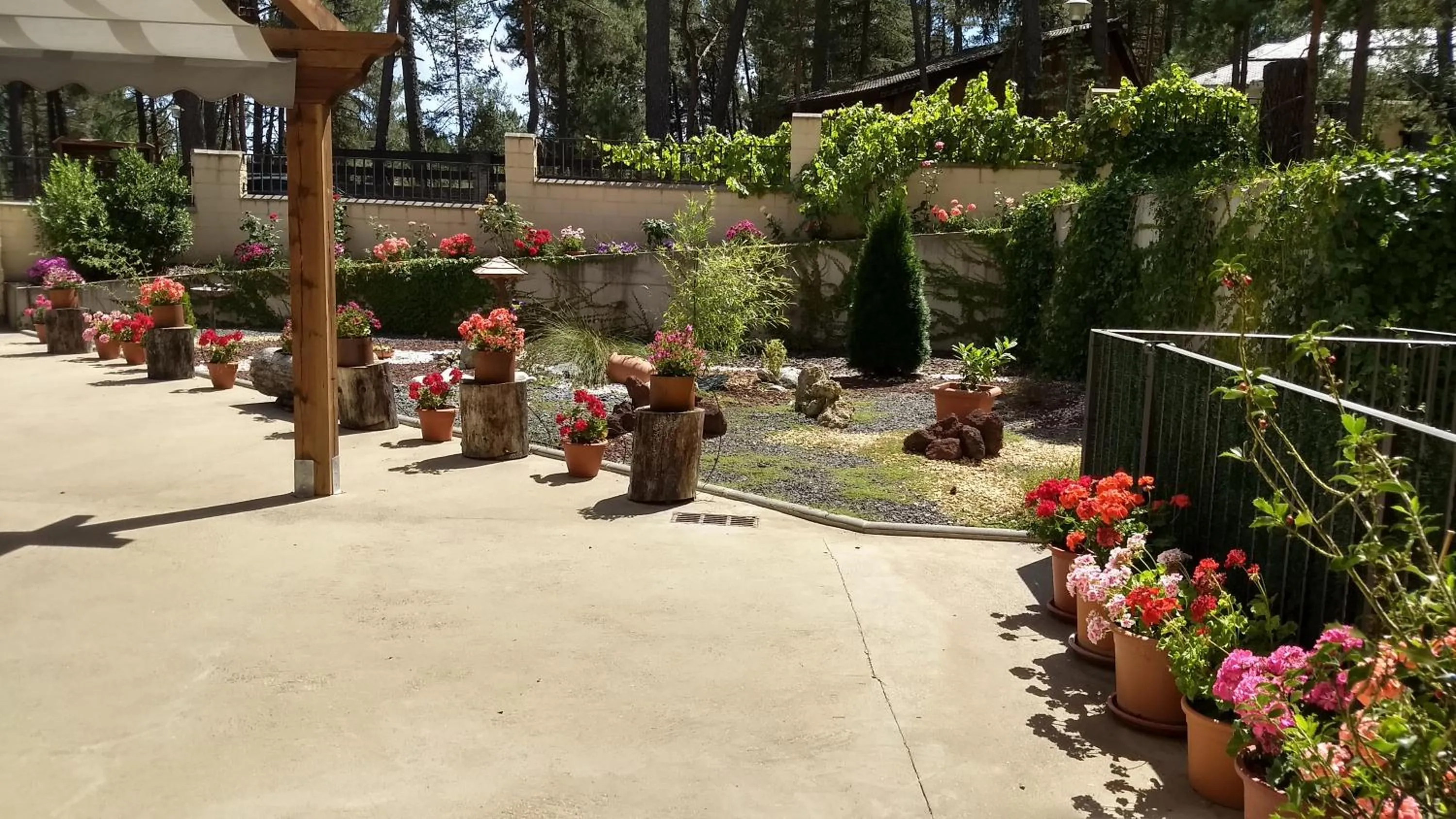 Garden in Hotel Rural El Nido de Pinares