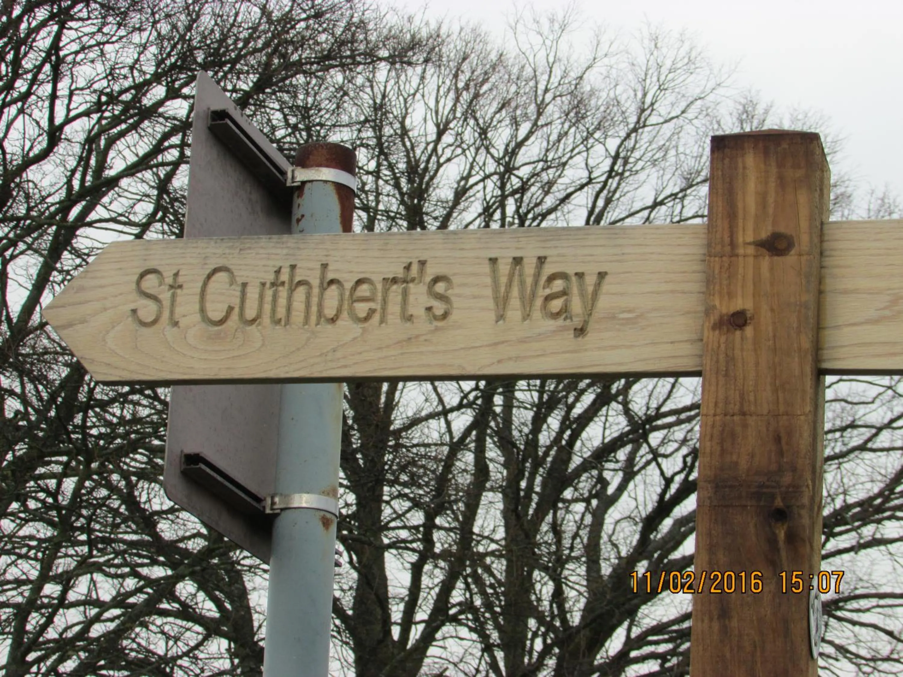 Hiking in Mill House