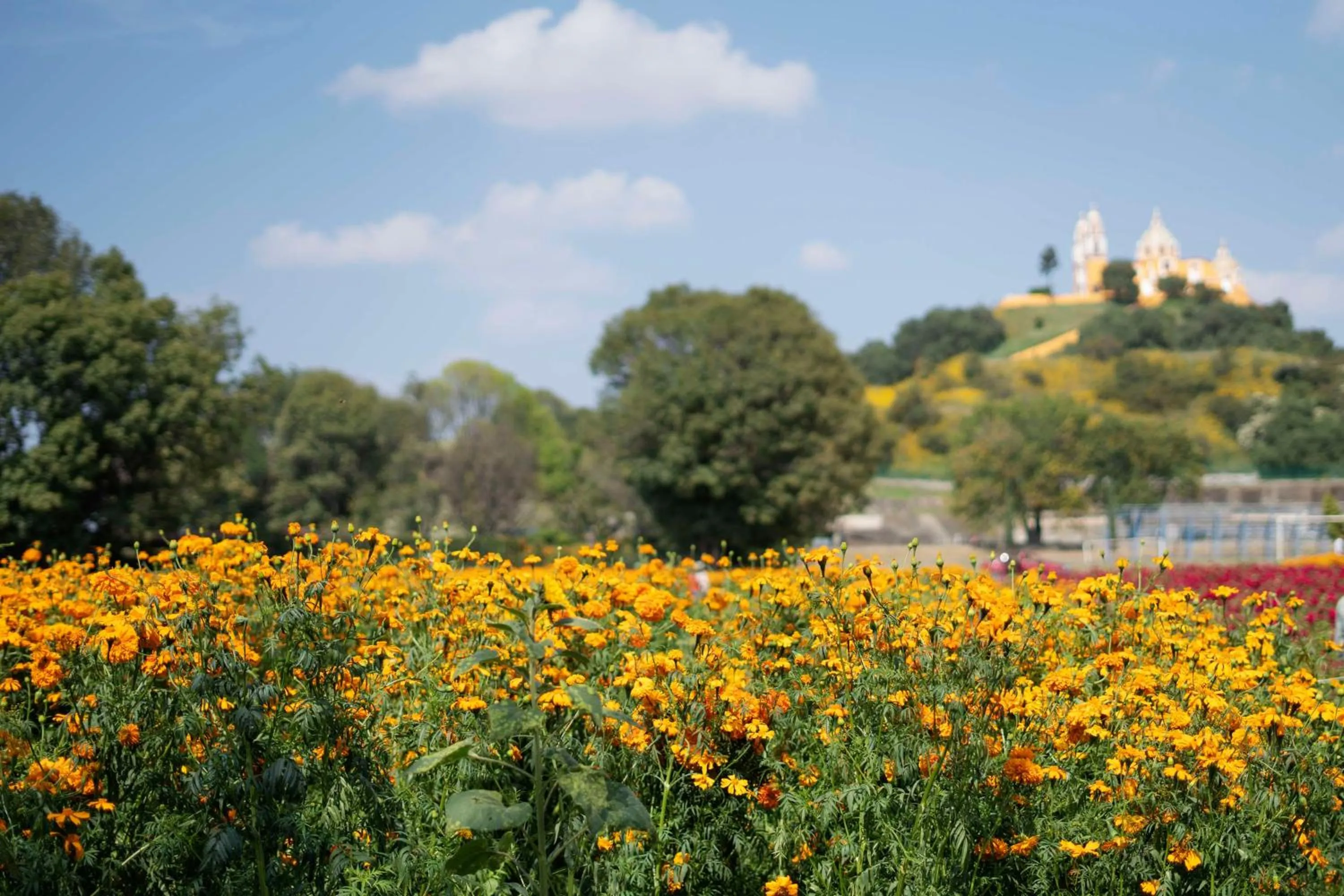 Nearby landmark in Banyan Tree Puebla
