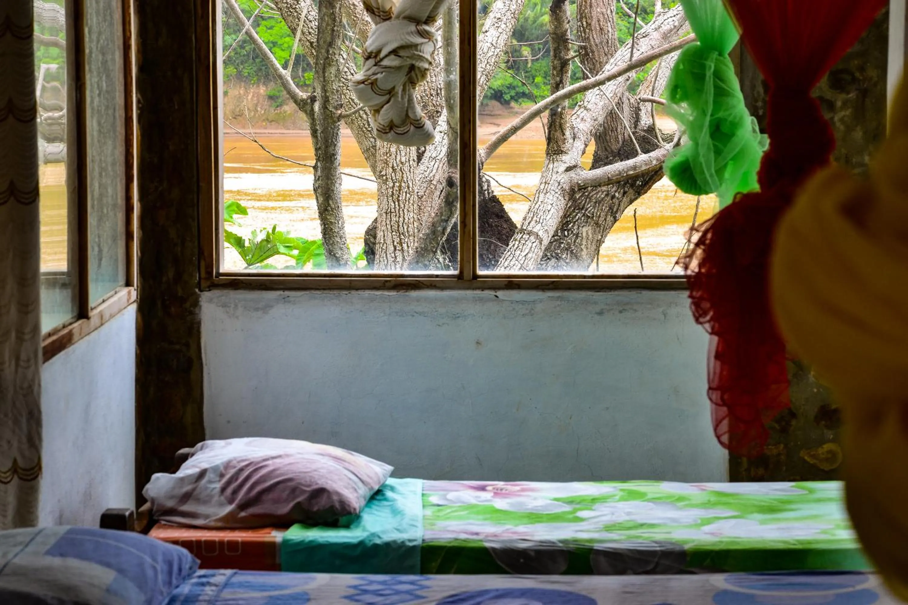 Single Bed in Mixed Dormitory Room in Lobo Hostel - Rurrenabaque