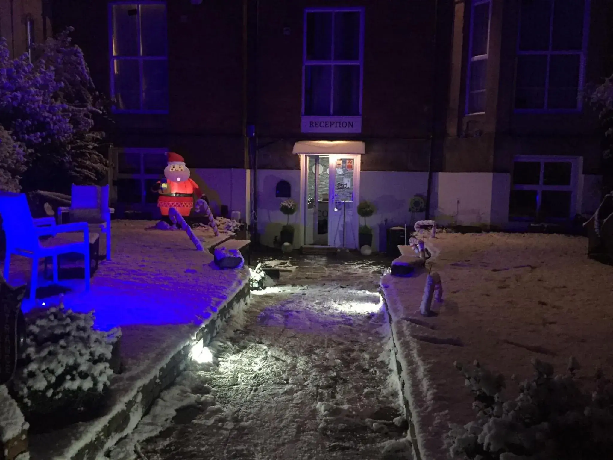 Garden view in Queens Guesthouse Manchester Garden view in Queens Guesthouse Manchester