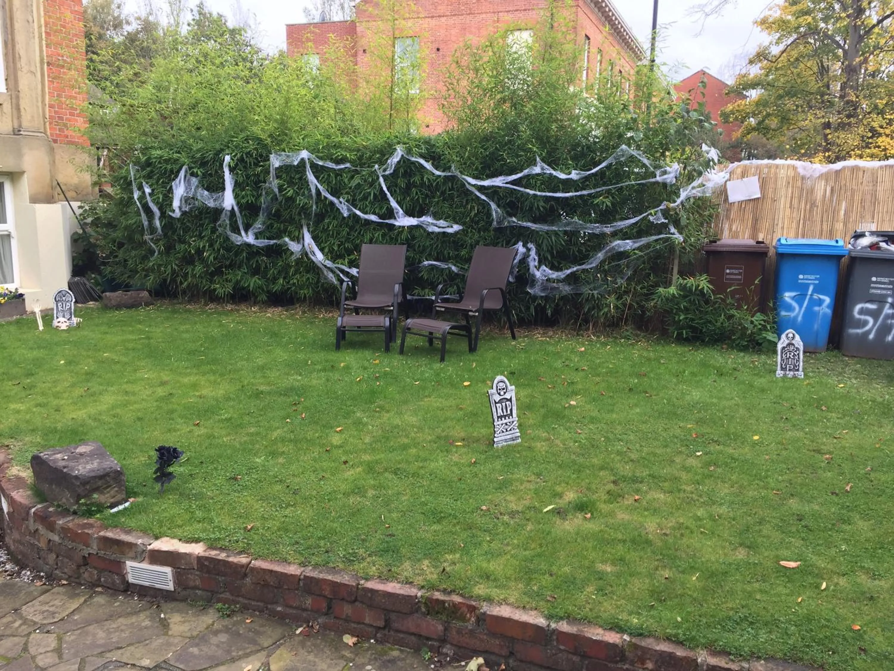 Garden in Queens Guesthouse Manchester