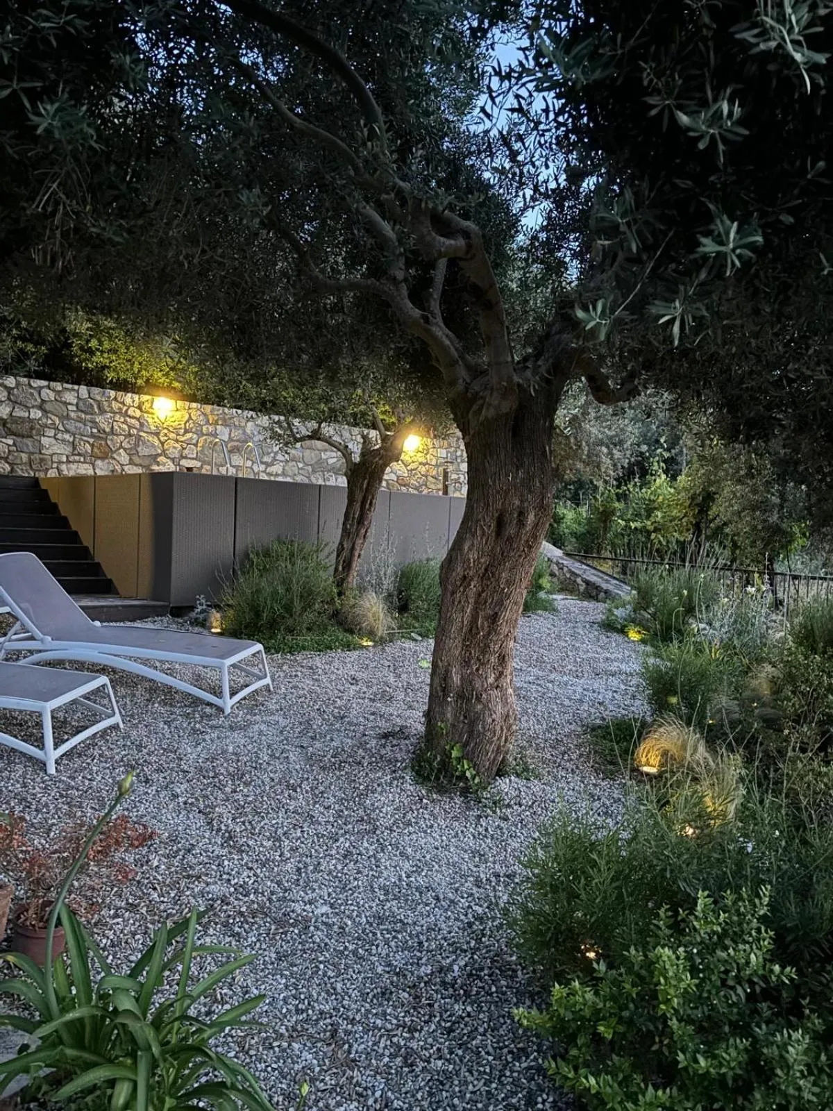 Garden view in Antonio Massa Lubrense