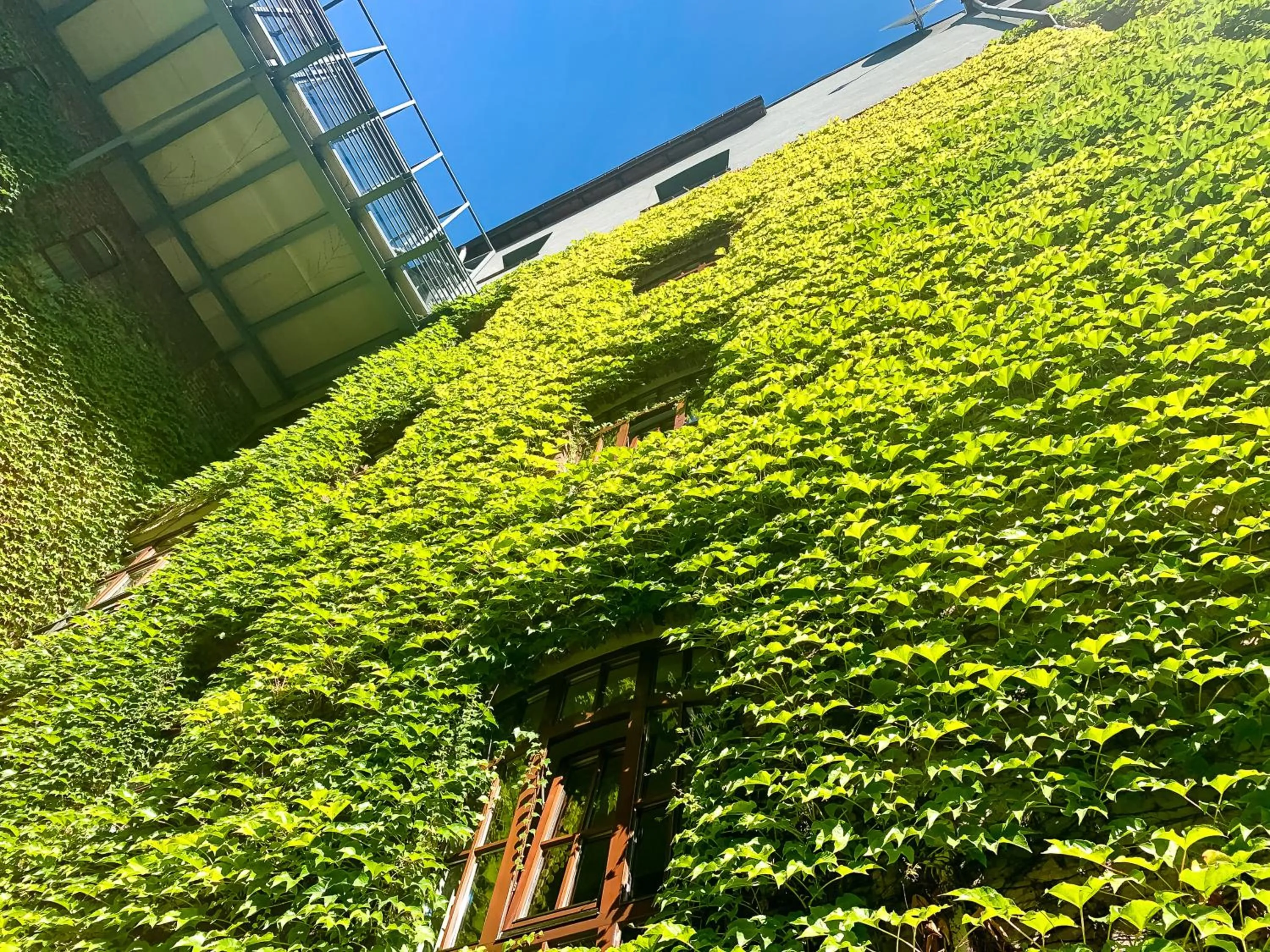 Property building in Aparthotel Hornigold "W Zielonej Kamienicy"