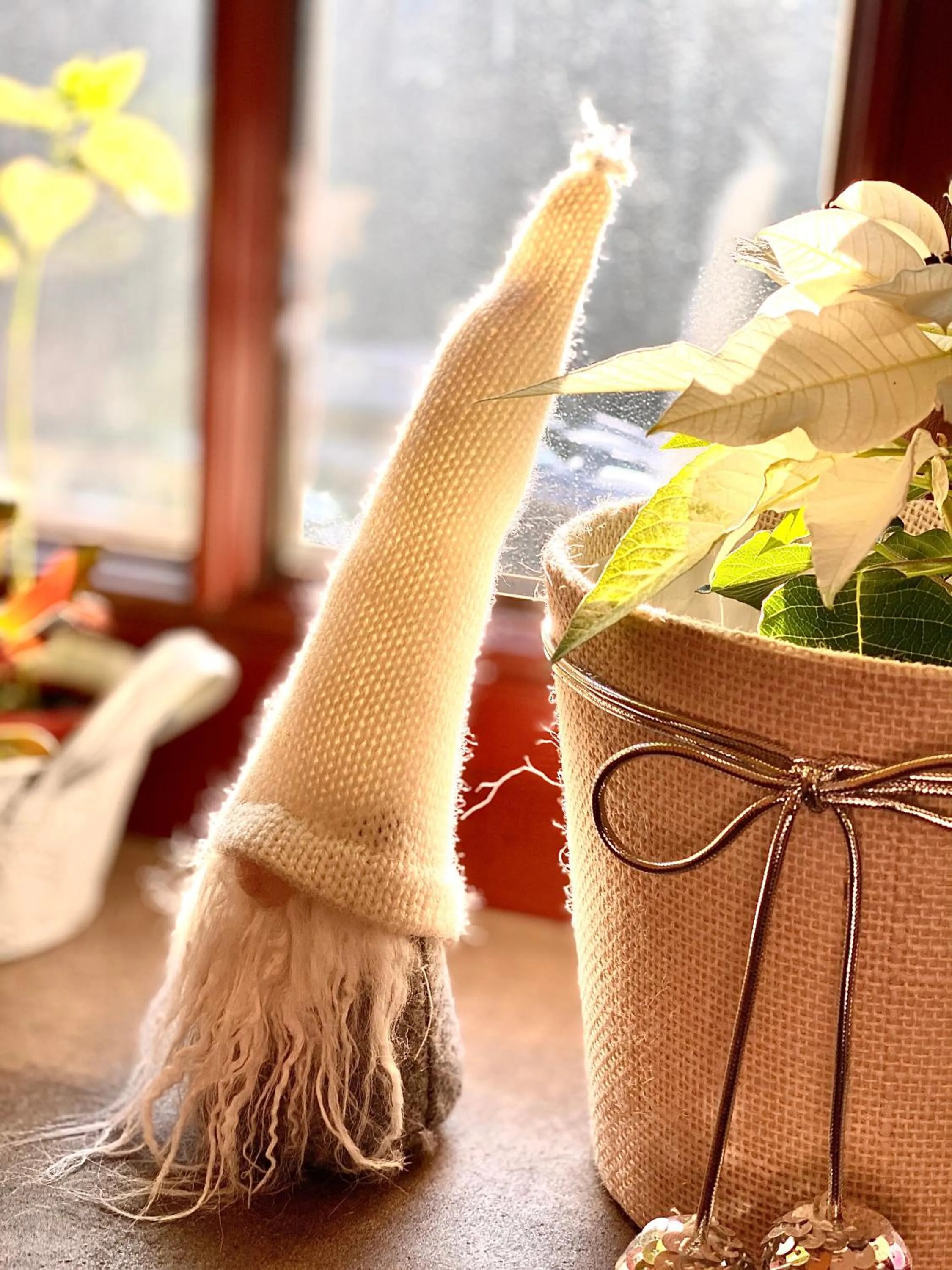 Winter in Aparthotel Hornigold "W Zielonej Kamienicy"