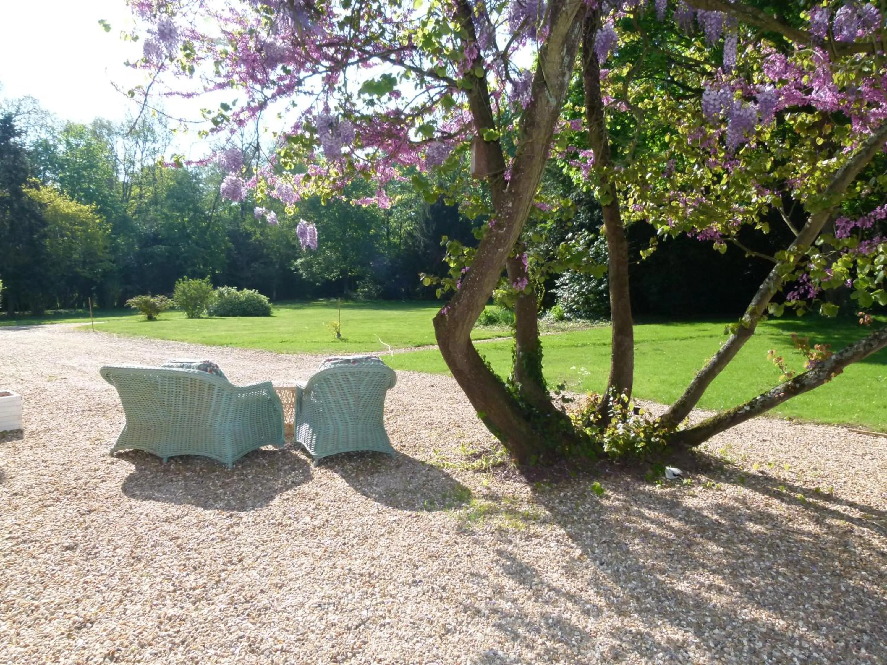 Garden in Le Grand Saint-Marc