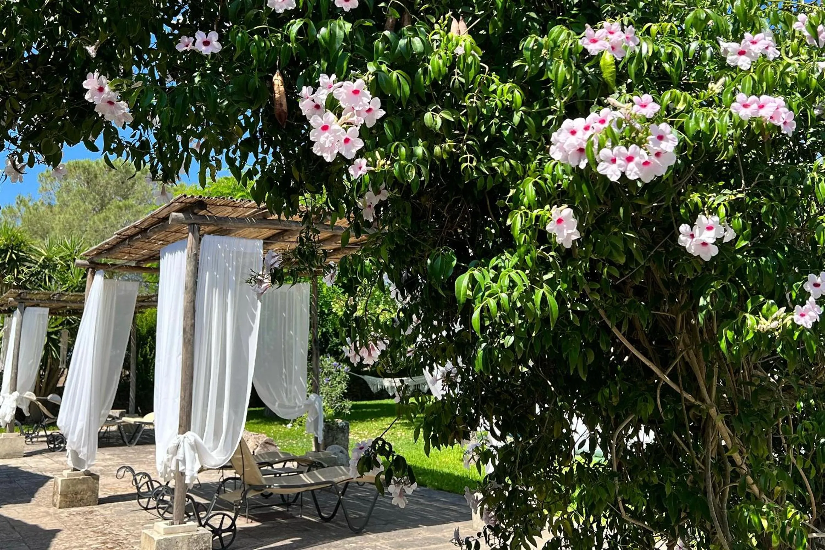 Garden in Masseria Casina Montana