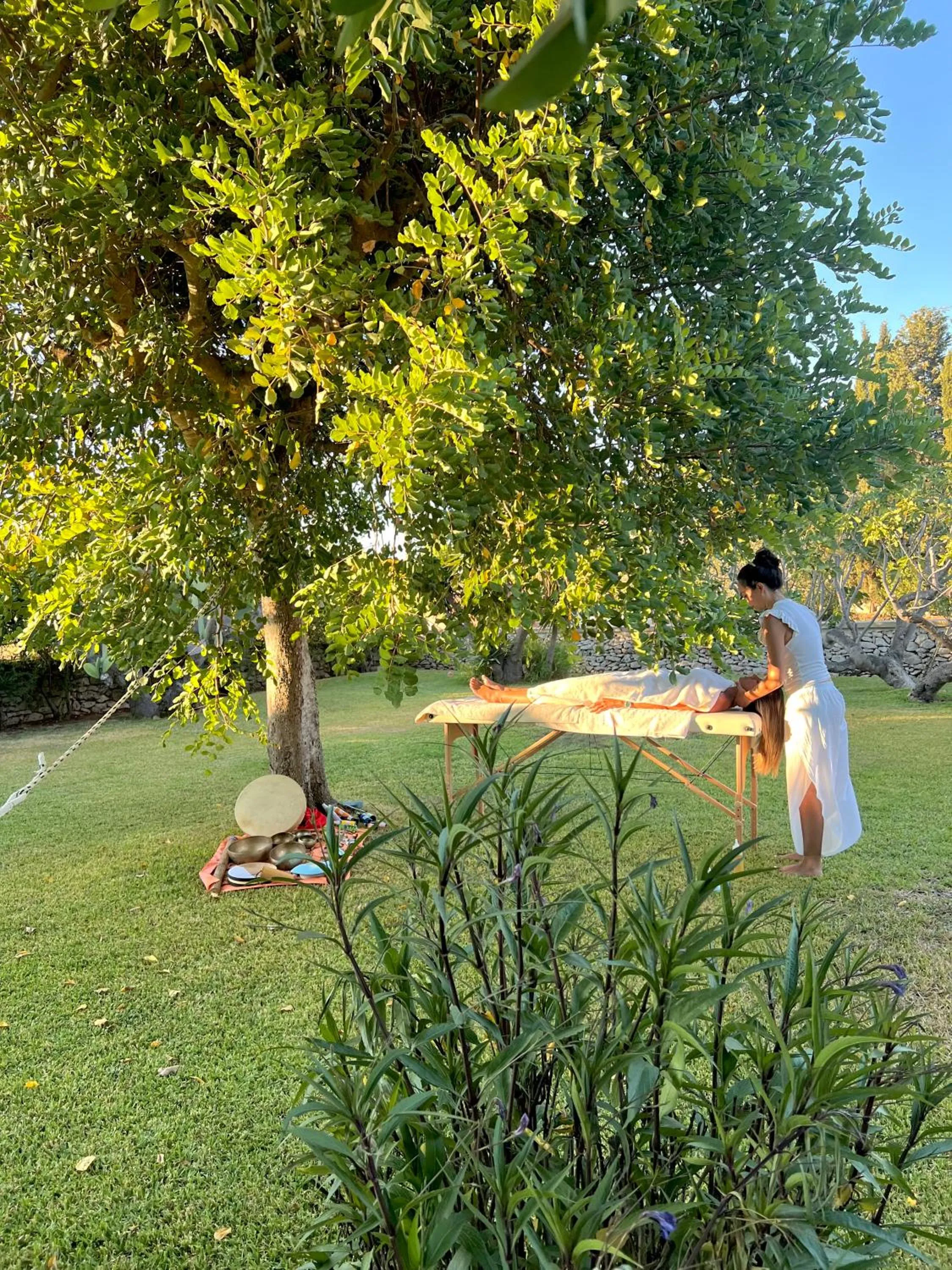 Garden in Masseria Casina Montana