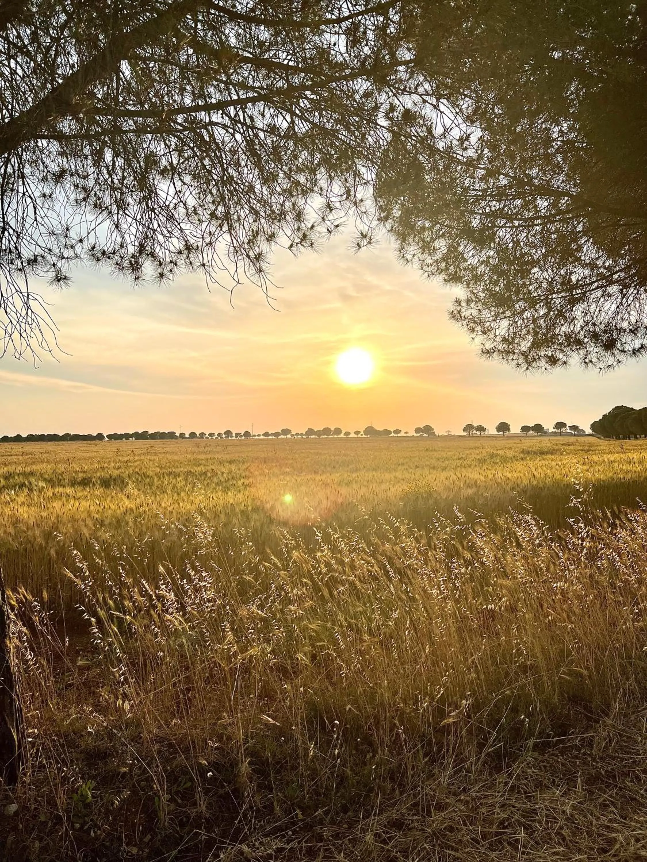 Natural landscape in Masseria Casina Montana