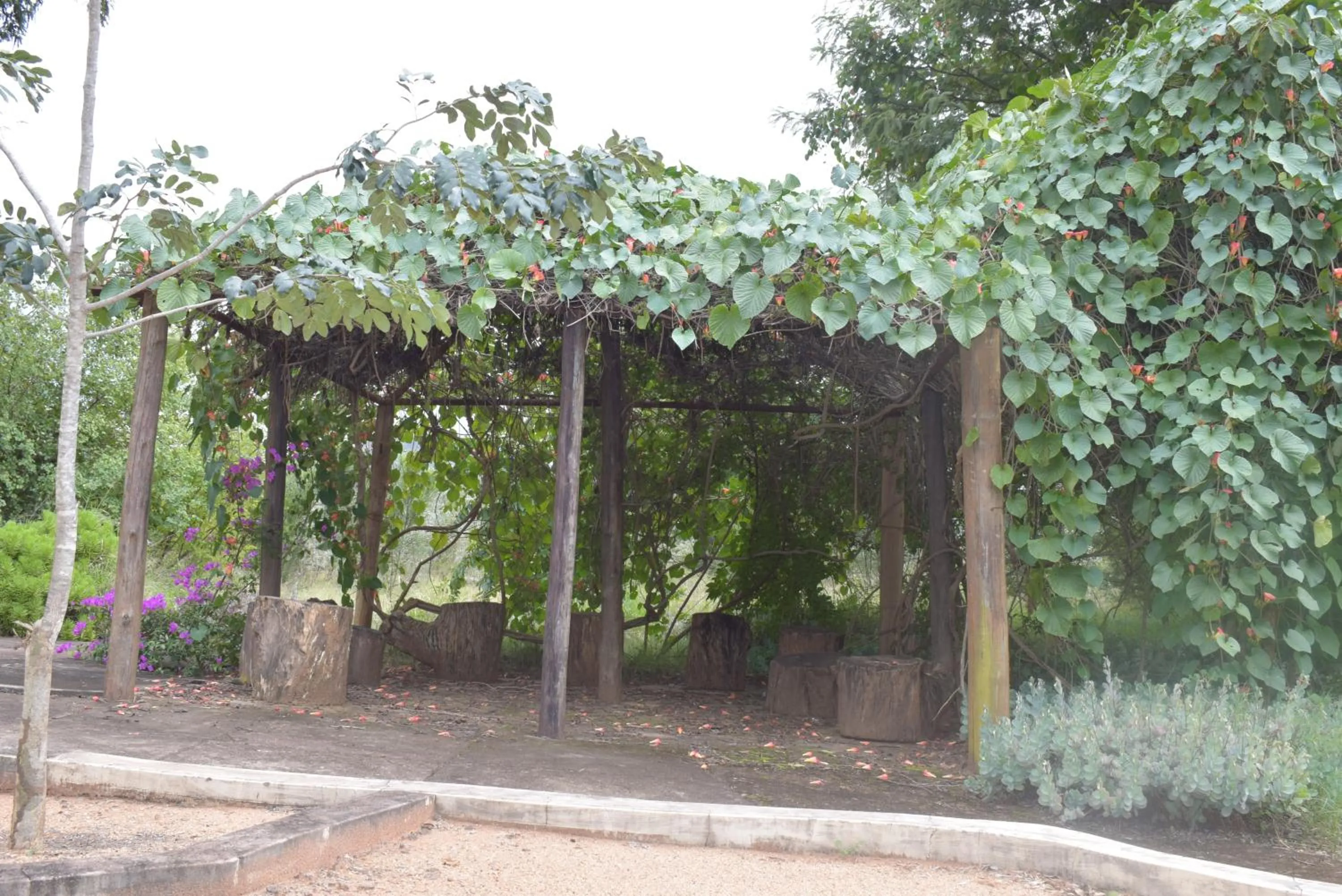 Garden view in Copacopa Lodge and Conference Centre