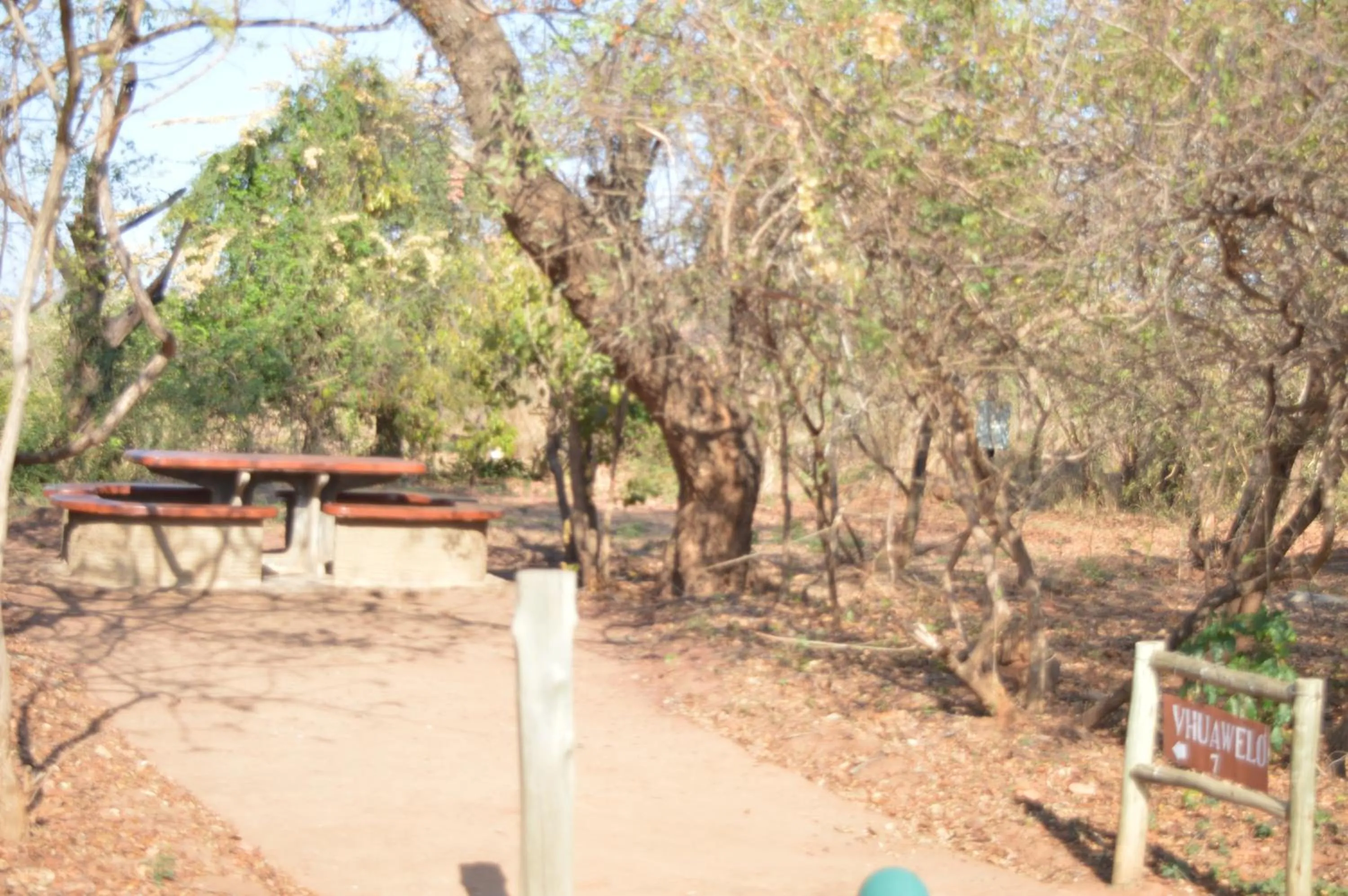 Garden in Copacopa Lodge and Conference Centre