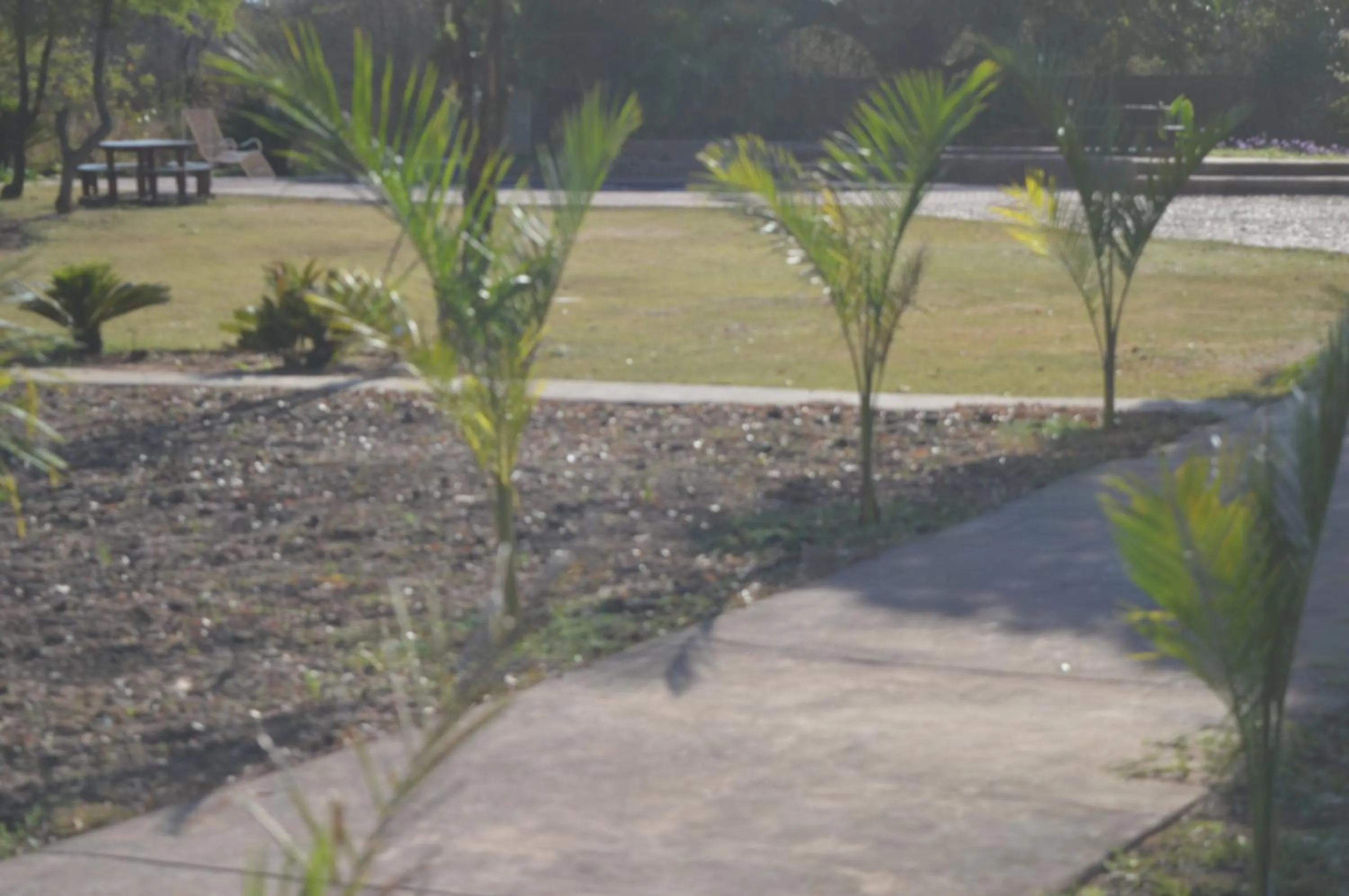 Garden in Copacopa Lodge and Conference Centre