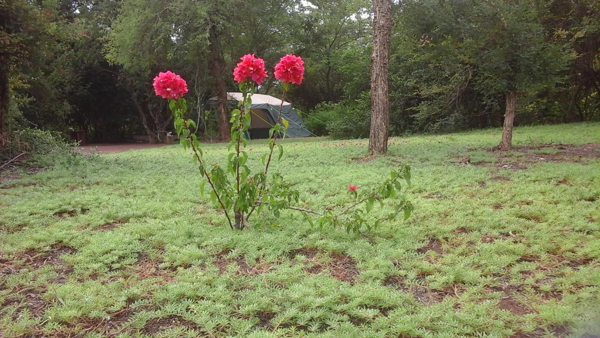 Natural landscape in Copacopa Lodge and Conference Centre