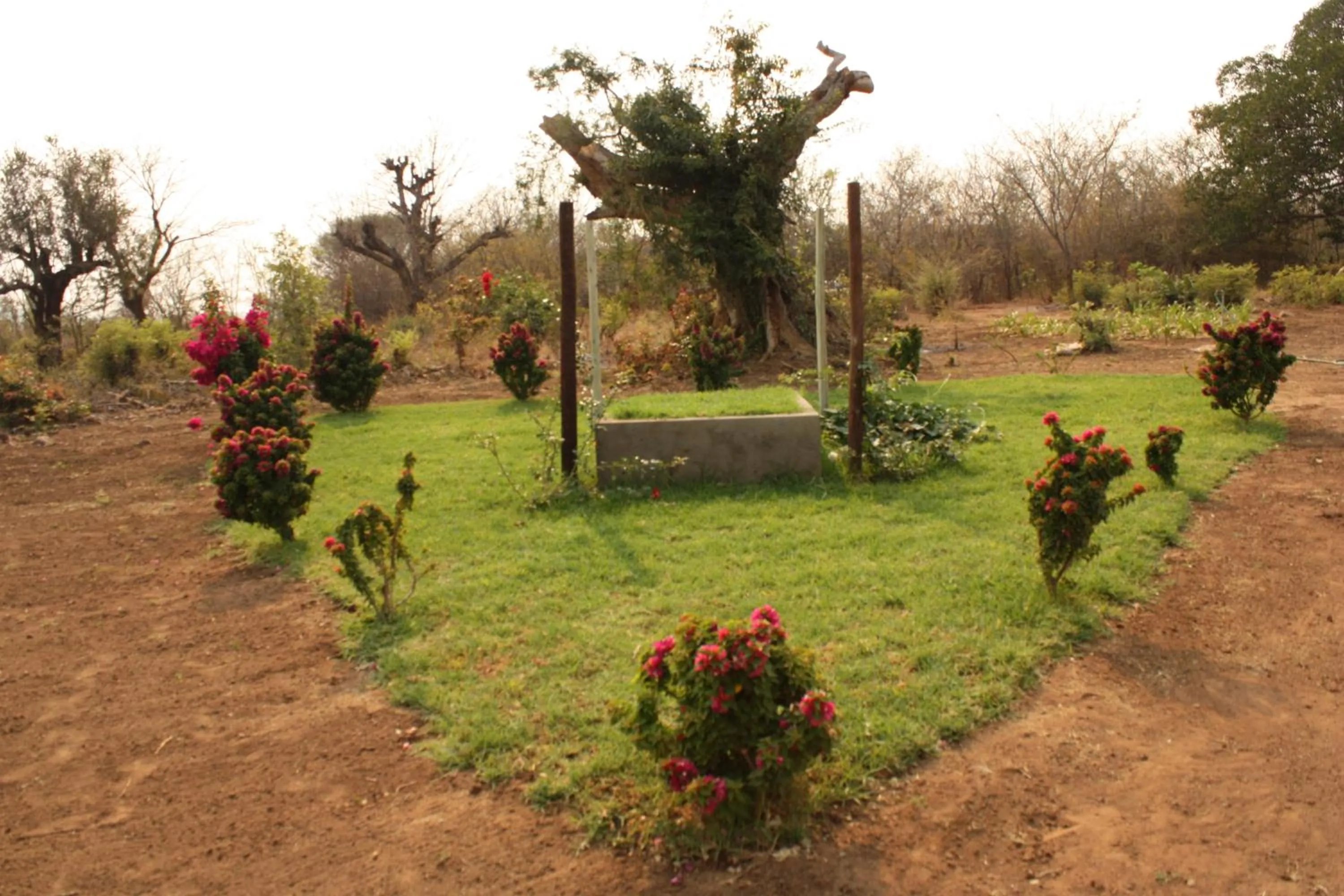 Garden in Copacopa Lodge and Conference Centre