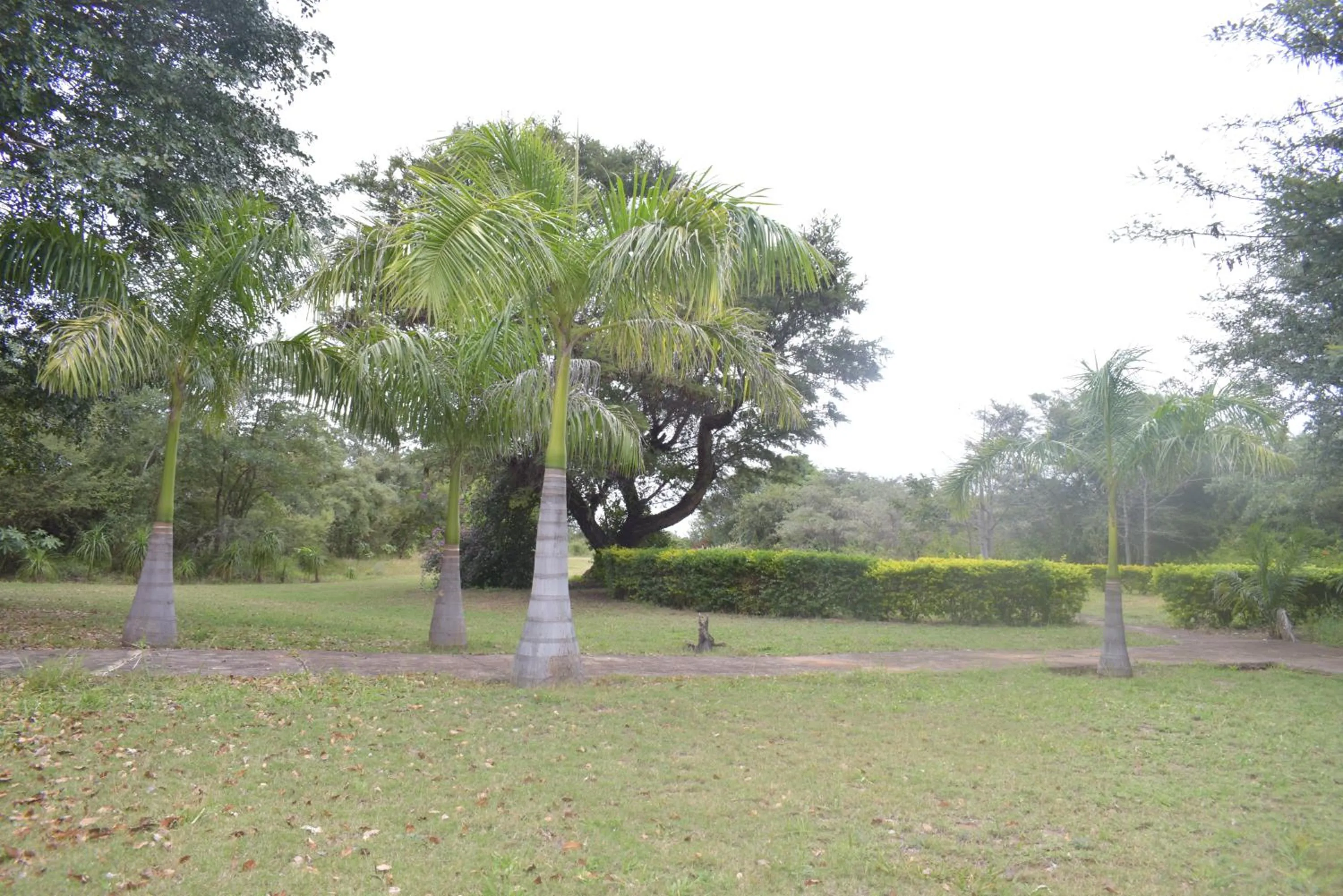Natural landscape in Copacopa Lodge and Conference Centre