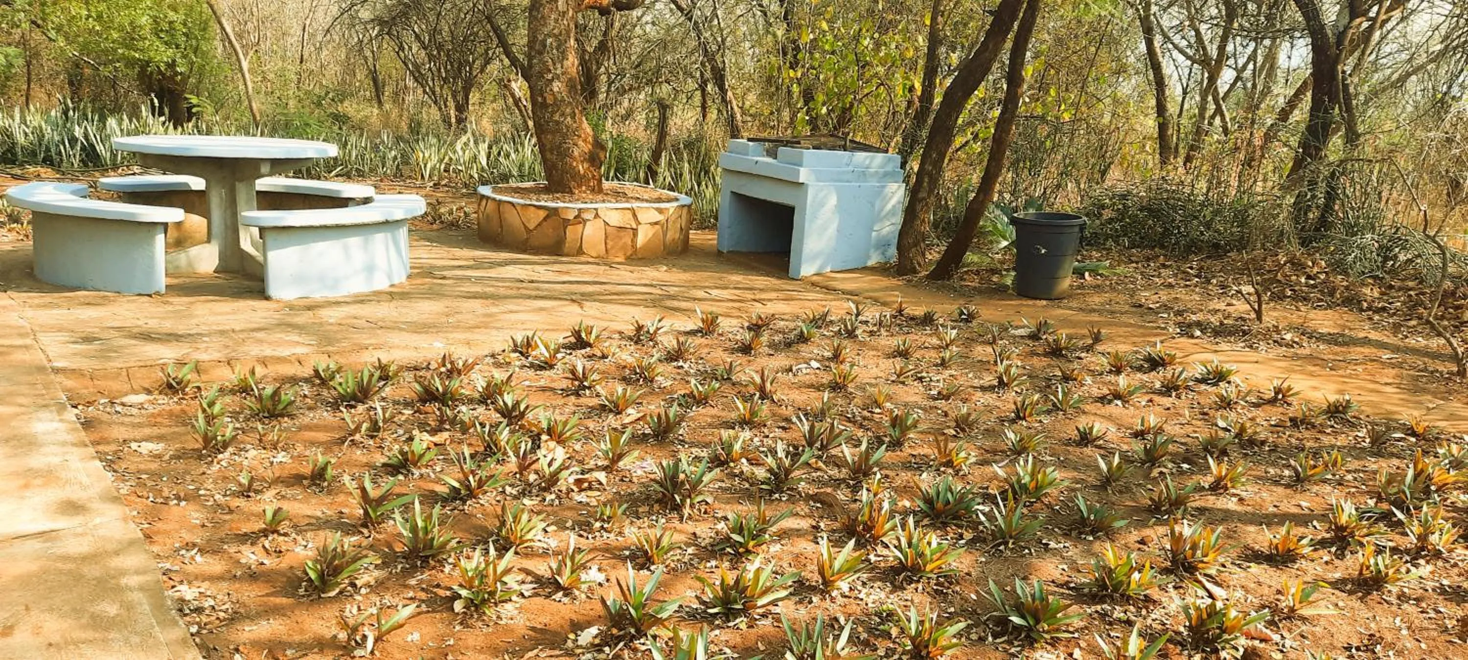 BBQ facilities in Copacopa Lodge and Conference Centre