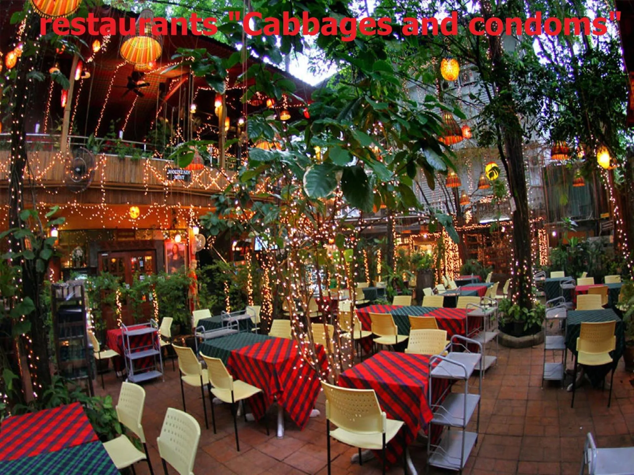 Restaurant/places to eat in Tropical Garden Studio
