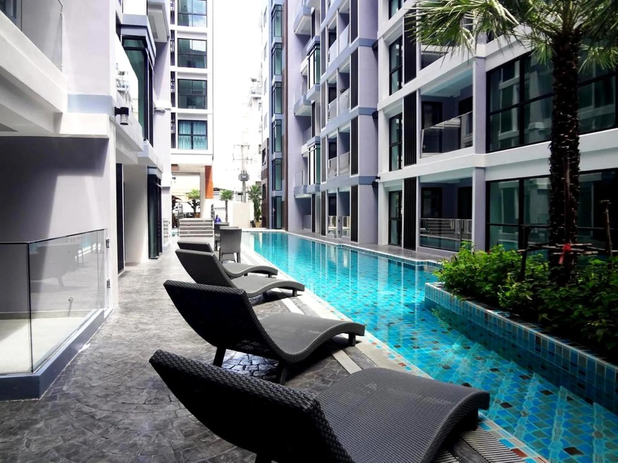 Swimming pool in Tropical Garden Studio