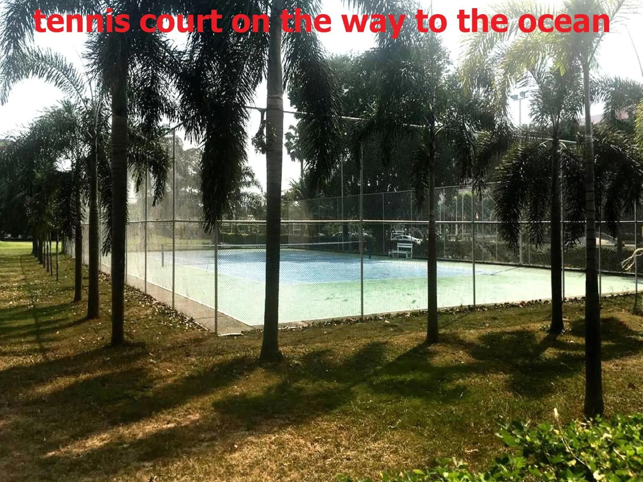 Tennis court in Tropical Garden Studio