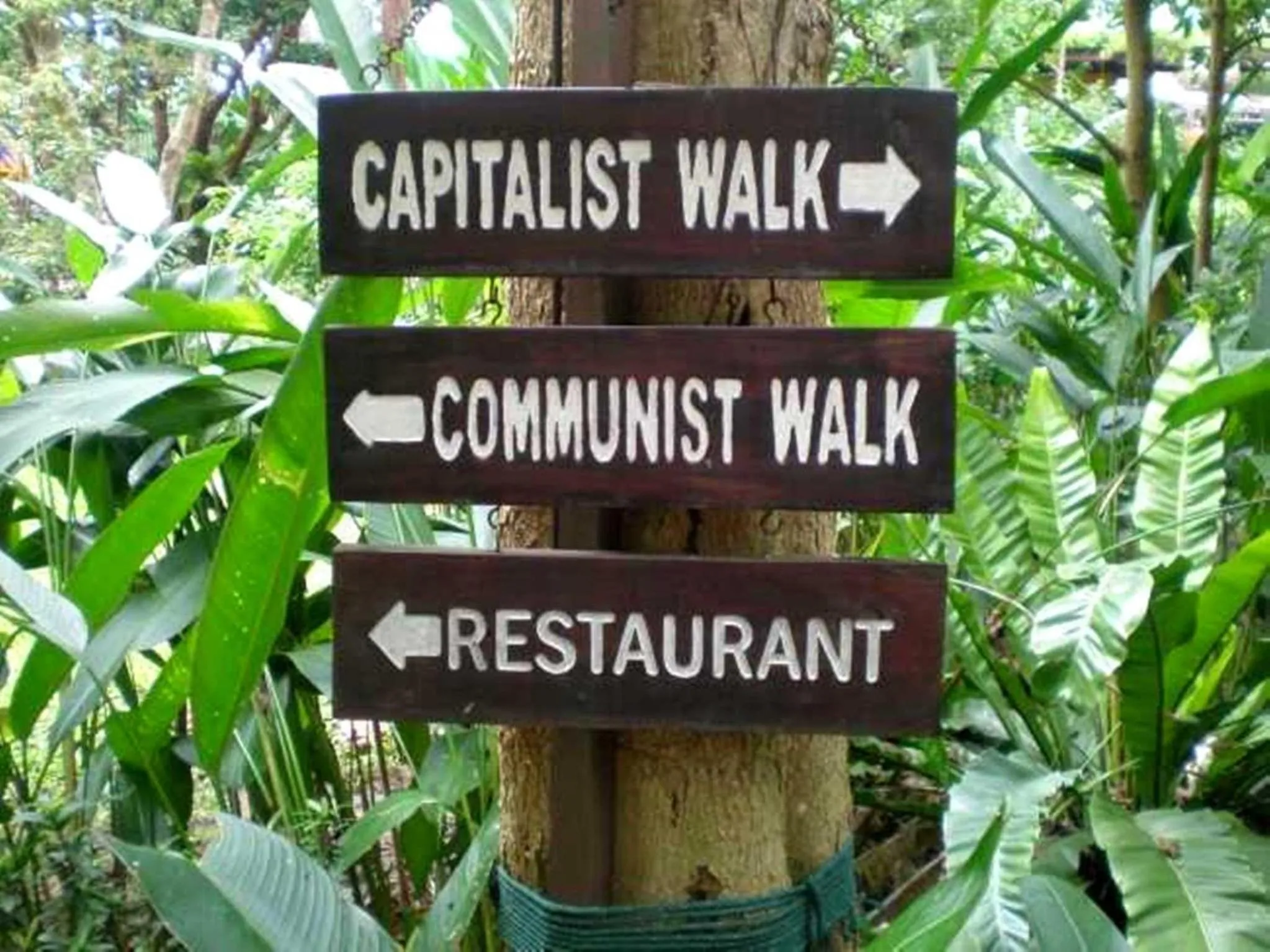 Restaurant/places to eat in Tropical Garden Studio