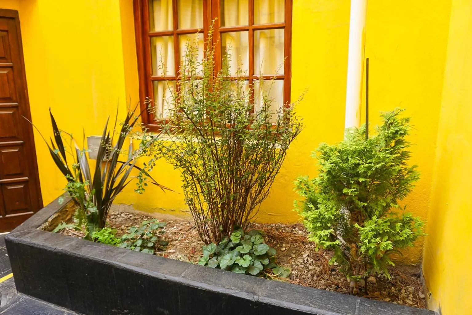 Day in Apart Hotel Libertador