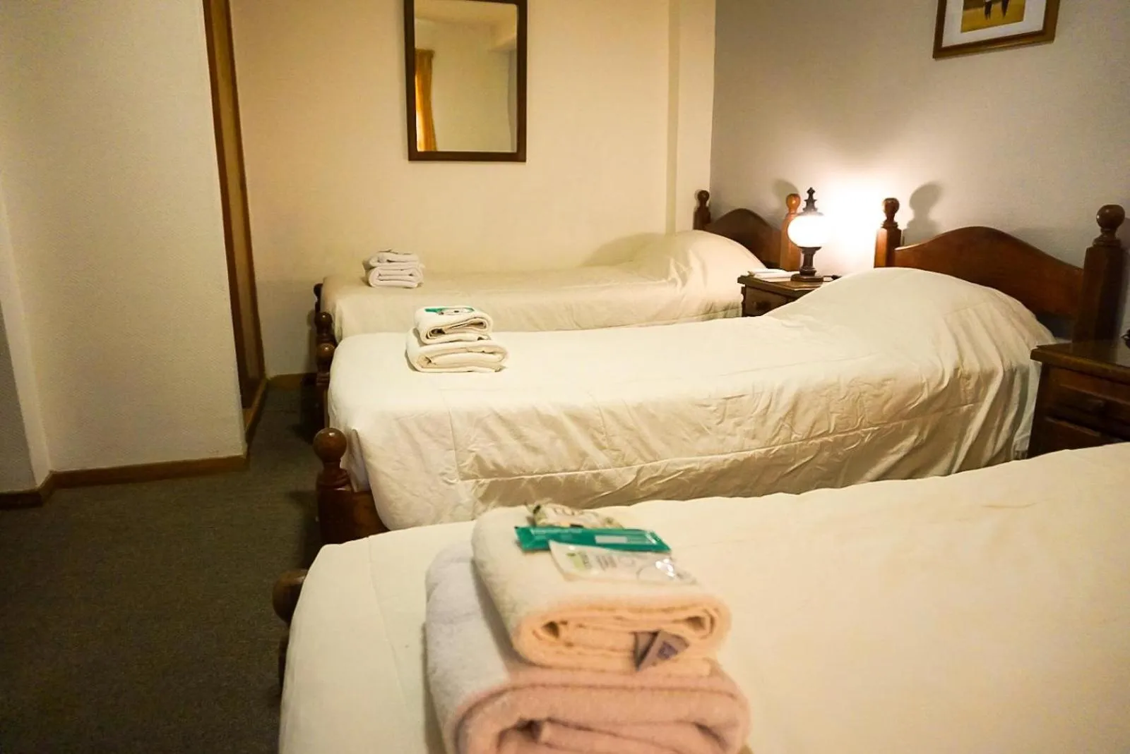 Bed in Apart Hotel Libertador