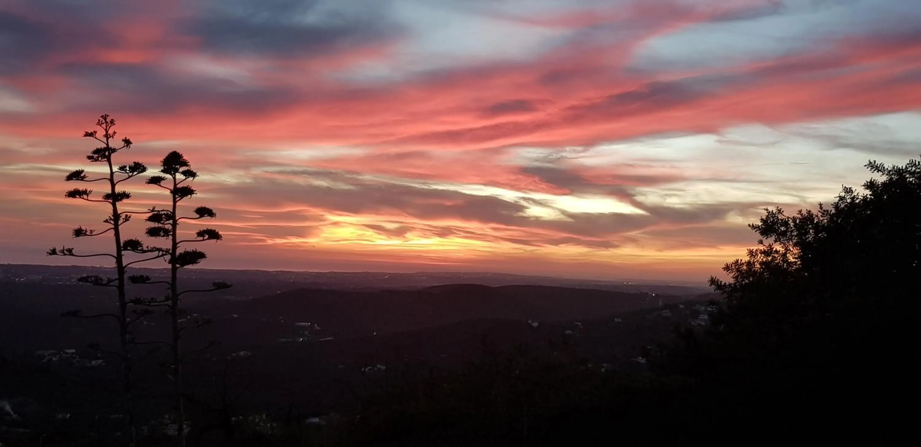 Natural landscape in Villa Quinta da Violeta