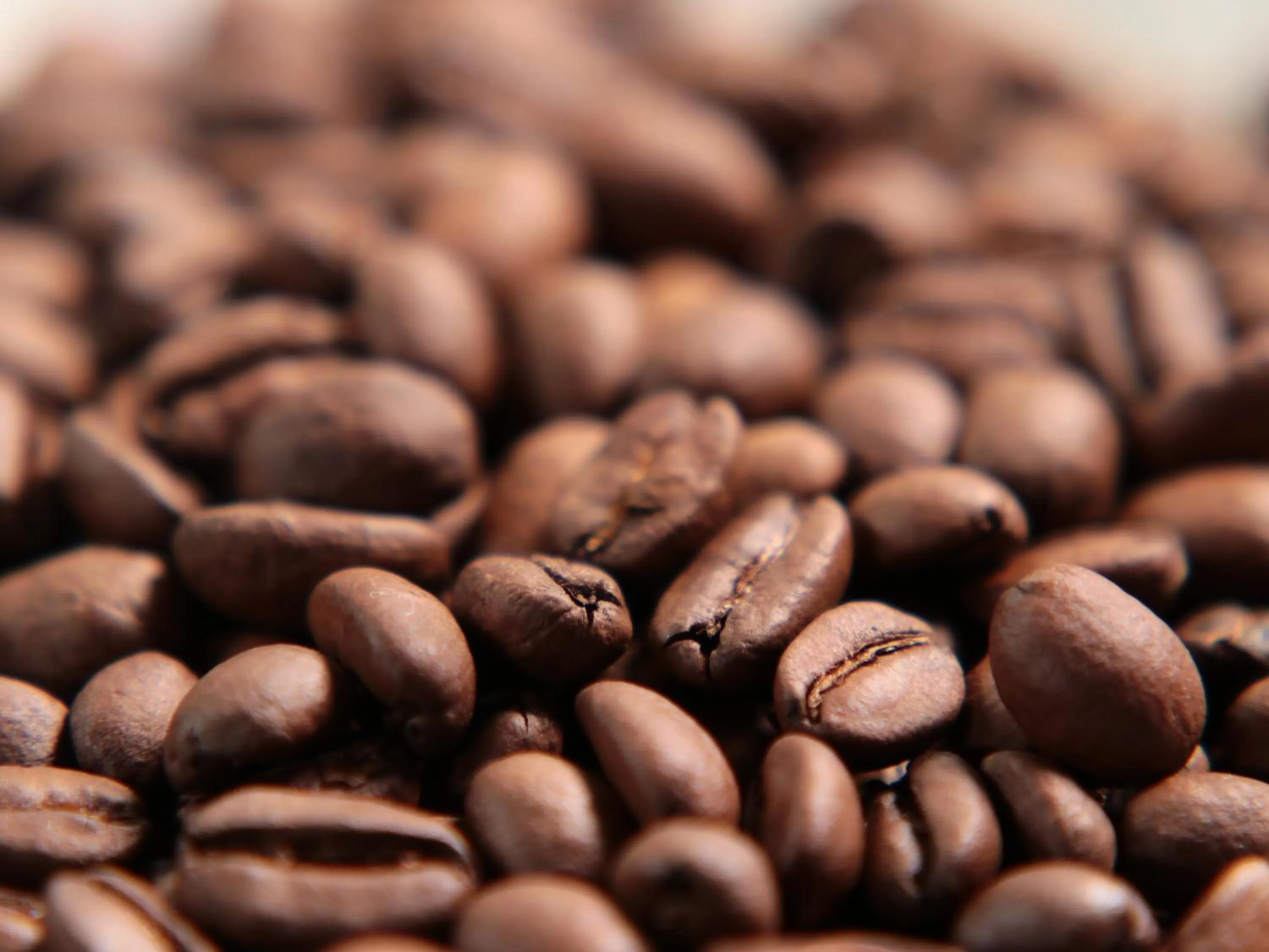 room service in Business Ryokan Iroha