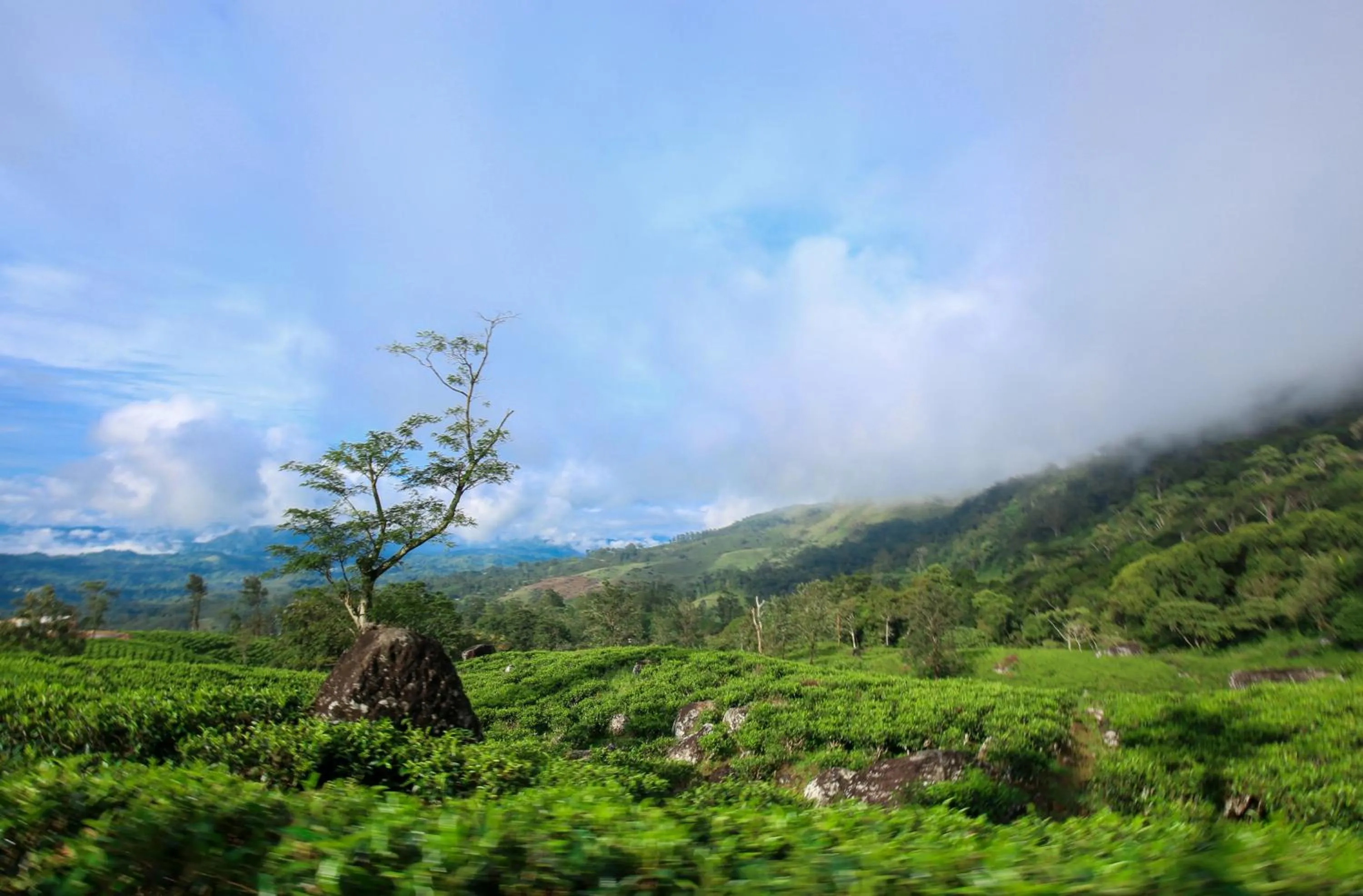 Nearby landmark in Lavenro Hotel & Resort