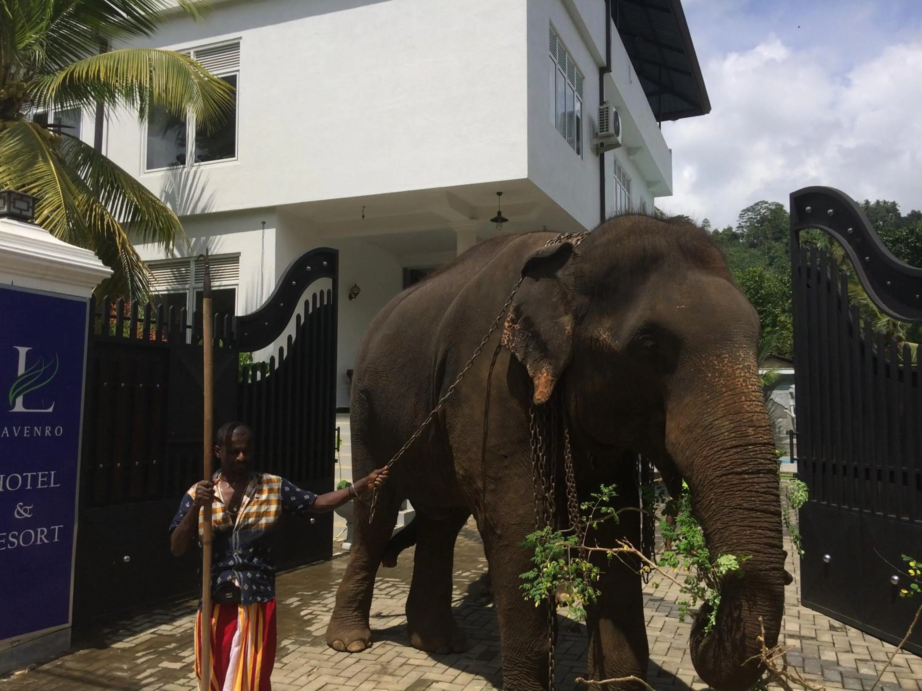 Animals in Lavenro Hotel & Resort