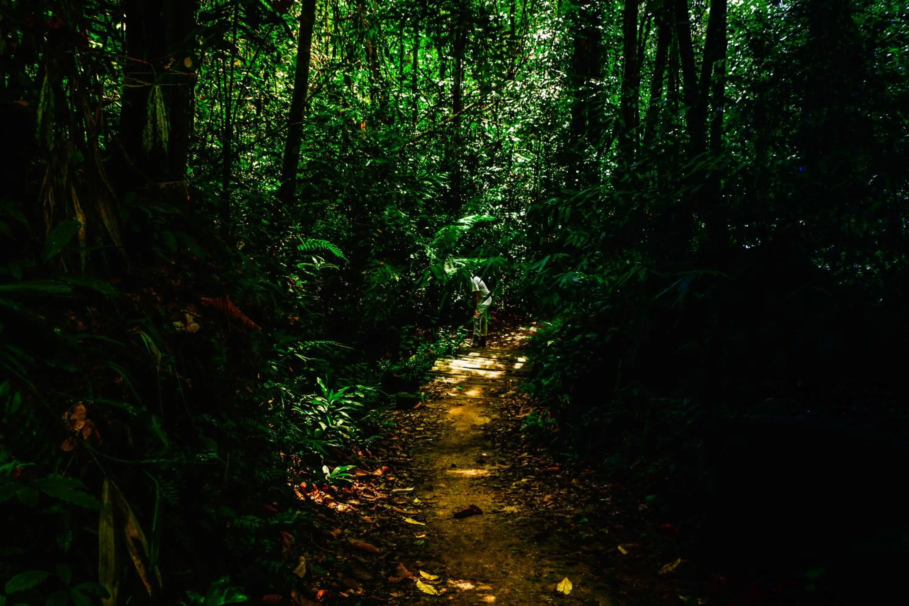 Natural landscape in Lavenro Hotel & Resort