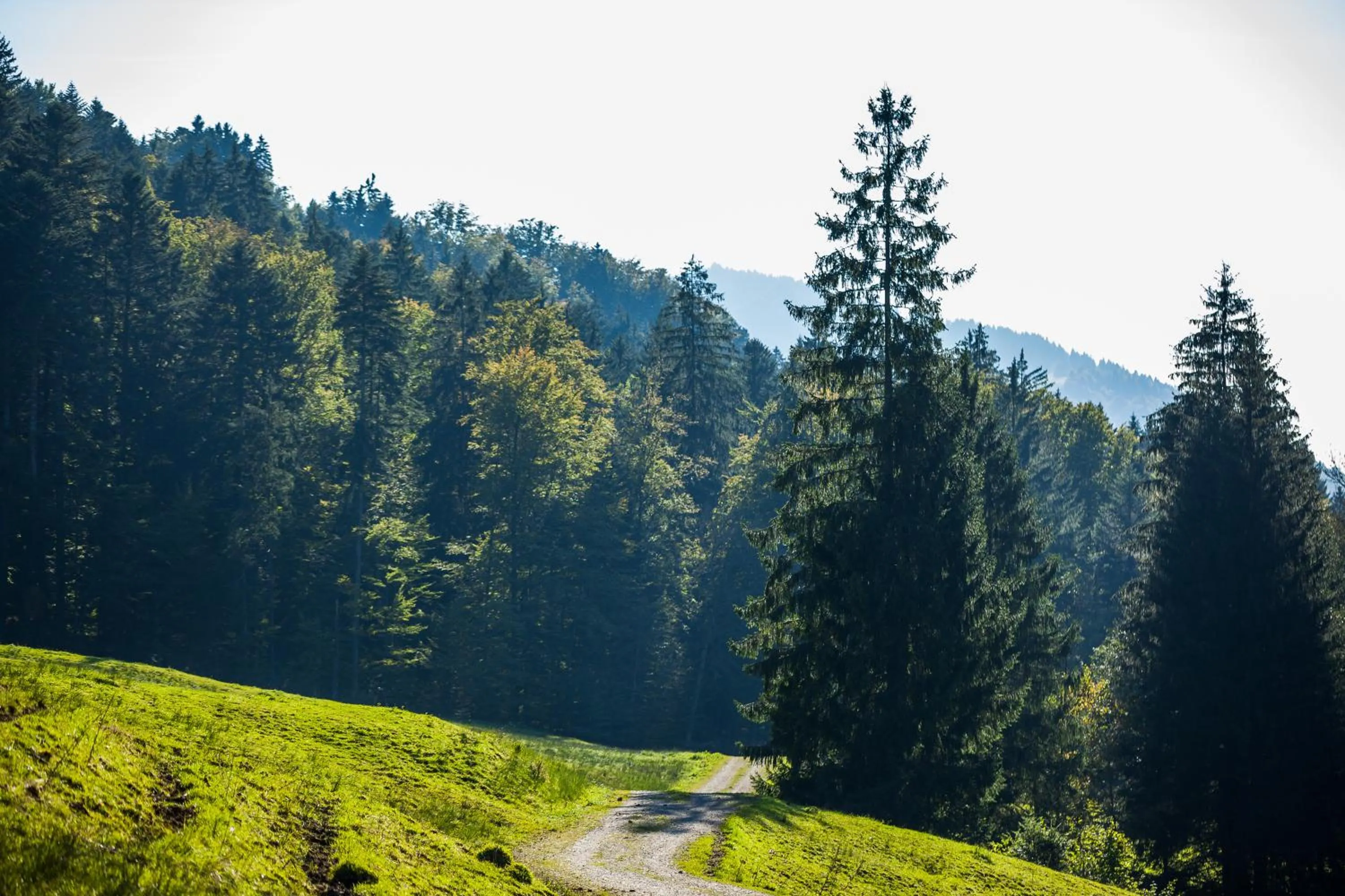 Off site in Hotel Bad Rain mit Oberstaufen PlusGolf