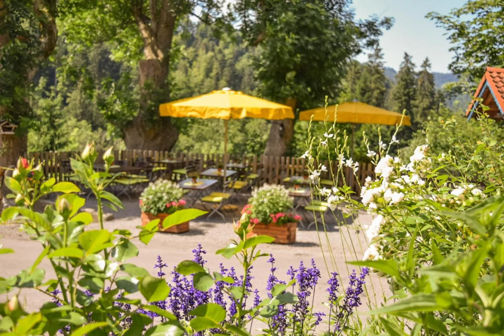 Restaurant/places to eat in Hotel Bad Rain mit Oberstaufen PlusGolf